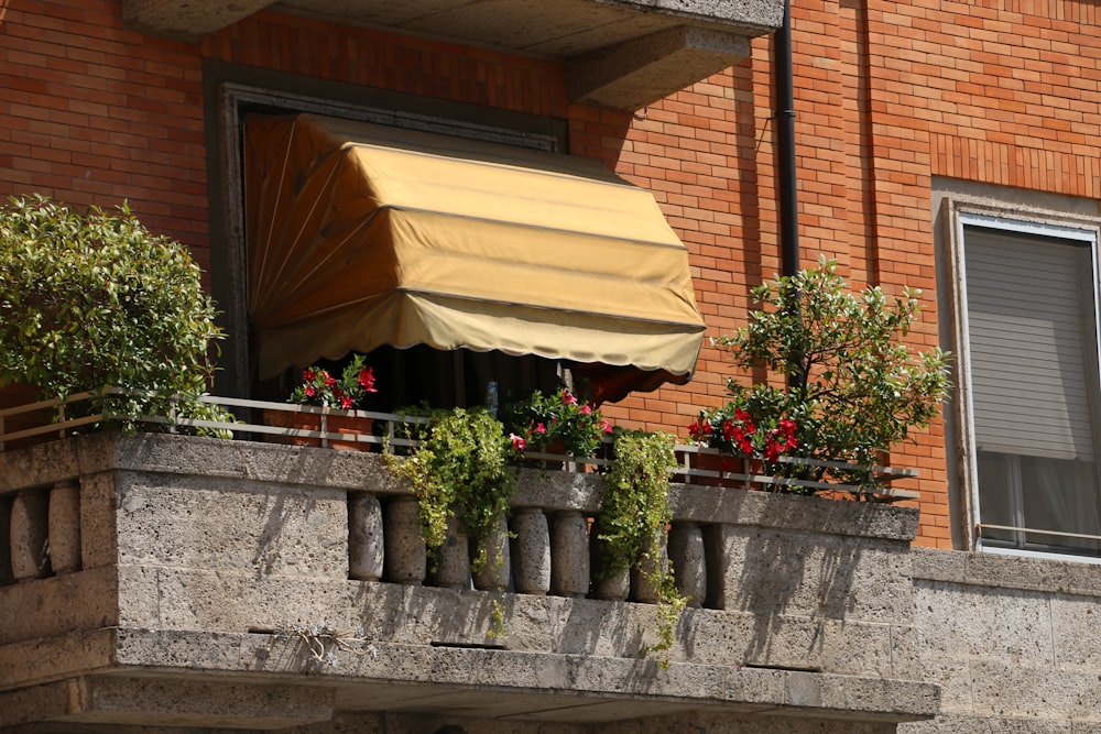 un pot de fleurs sur un rebord