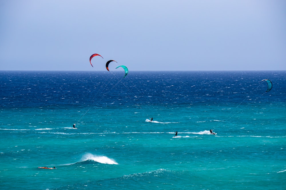 people kite surfing in the sea