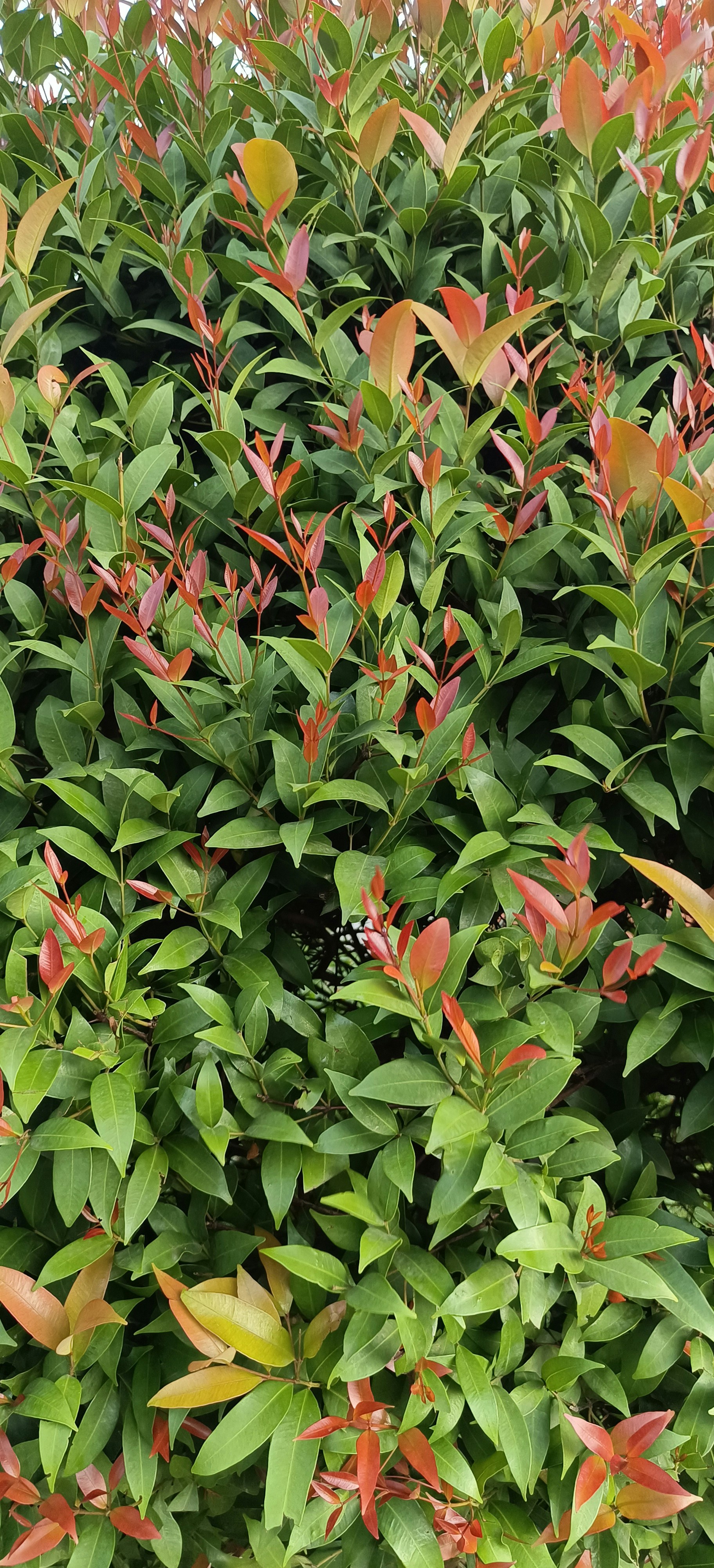 Photo by ravikumar9010