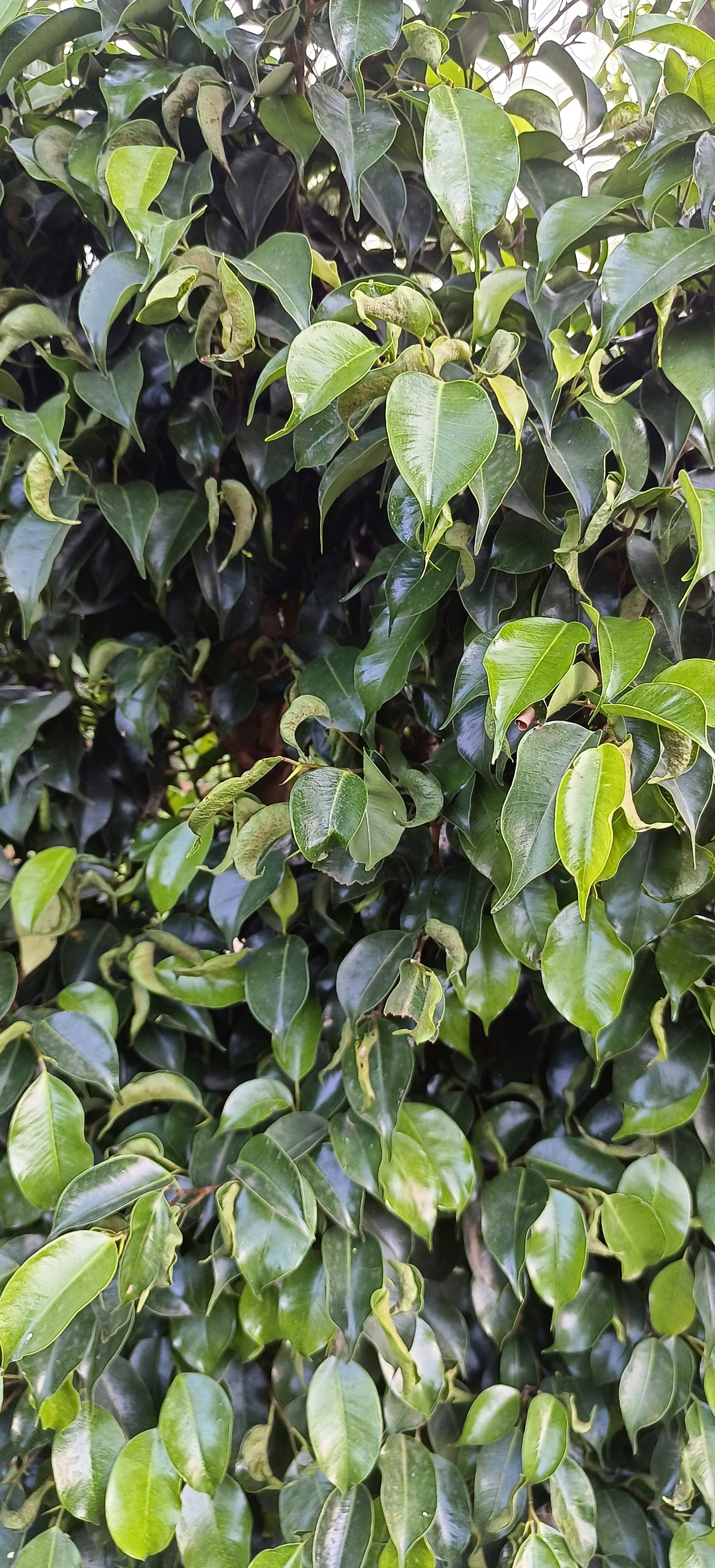 Photo by ravikumar9010