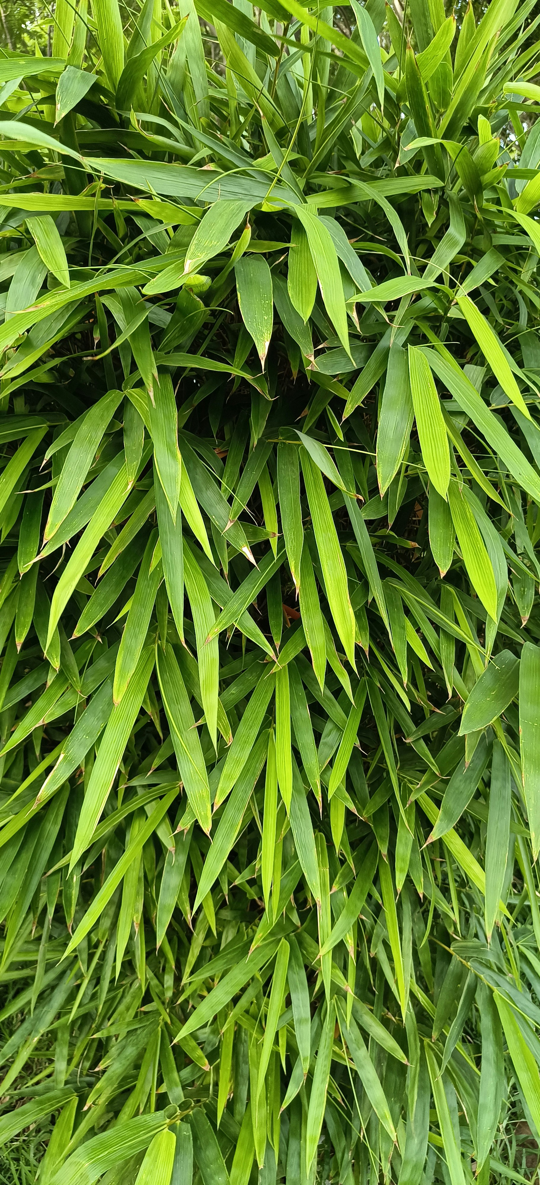 Photo by ravikumar9010