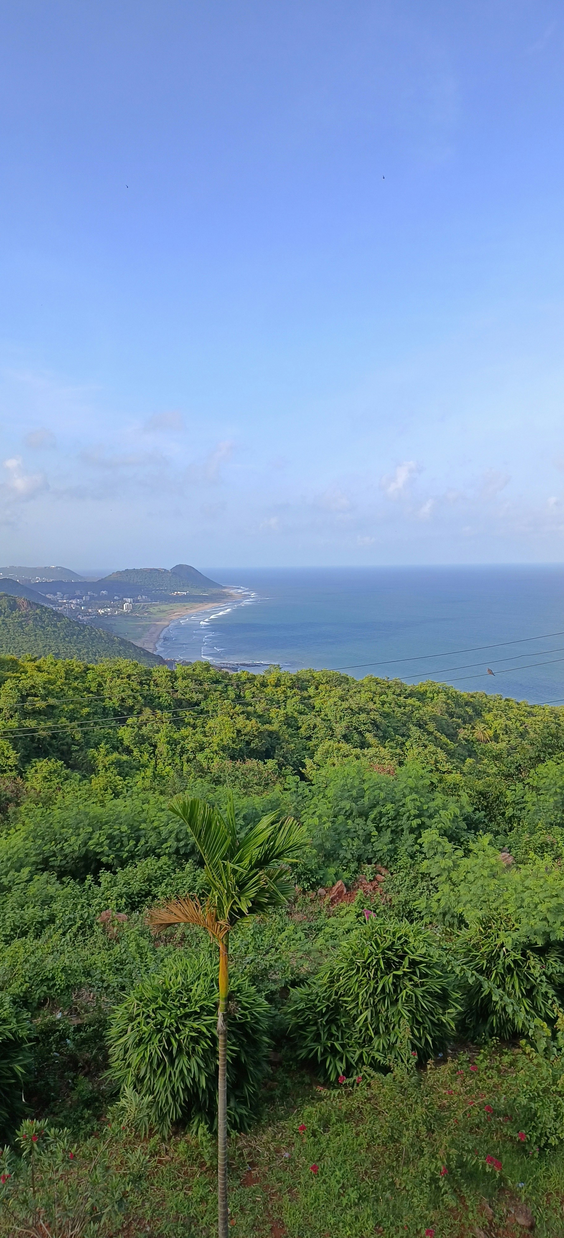 Photo by ravikumar9010