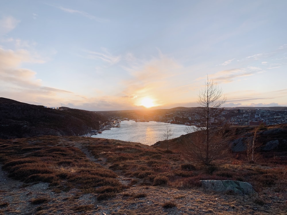 a body of water with a tree and a sunset in the background