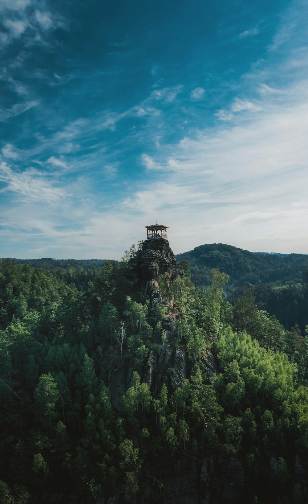 Un albero con una montagna sullo sfondo