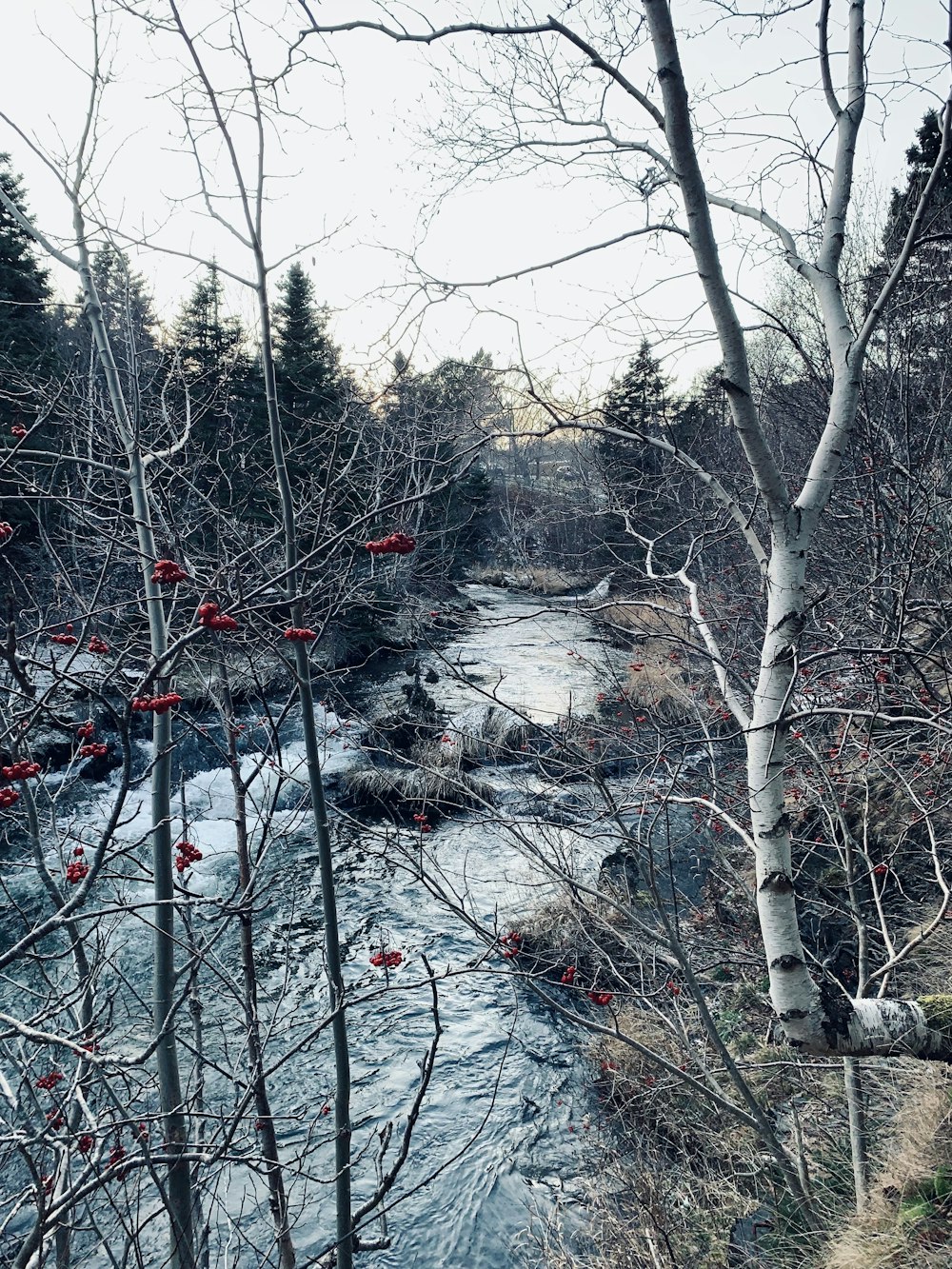 a river with snow on the banks