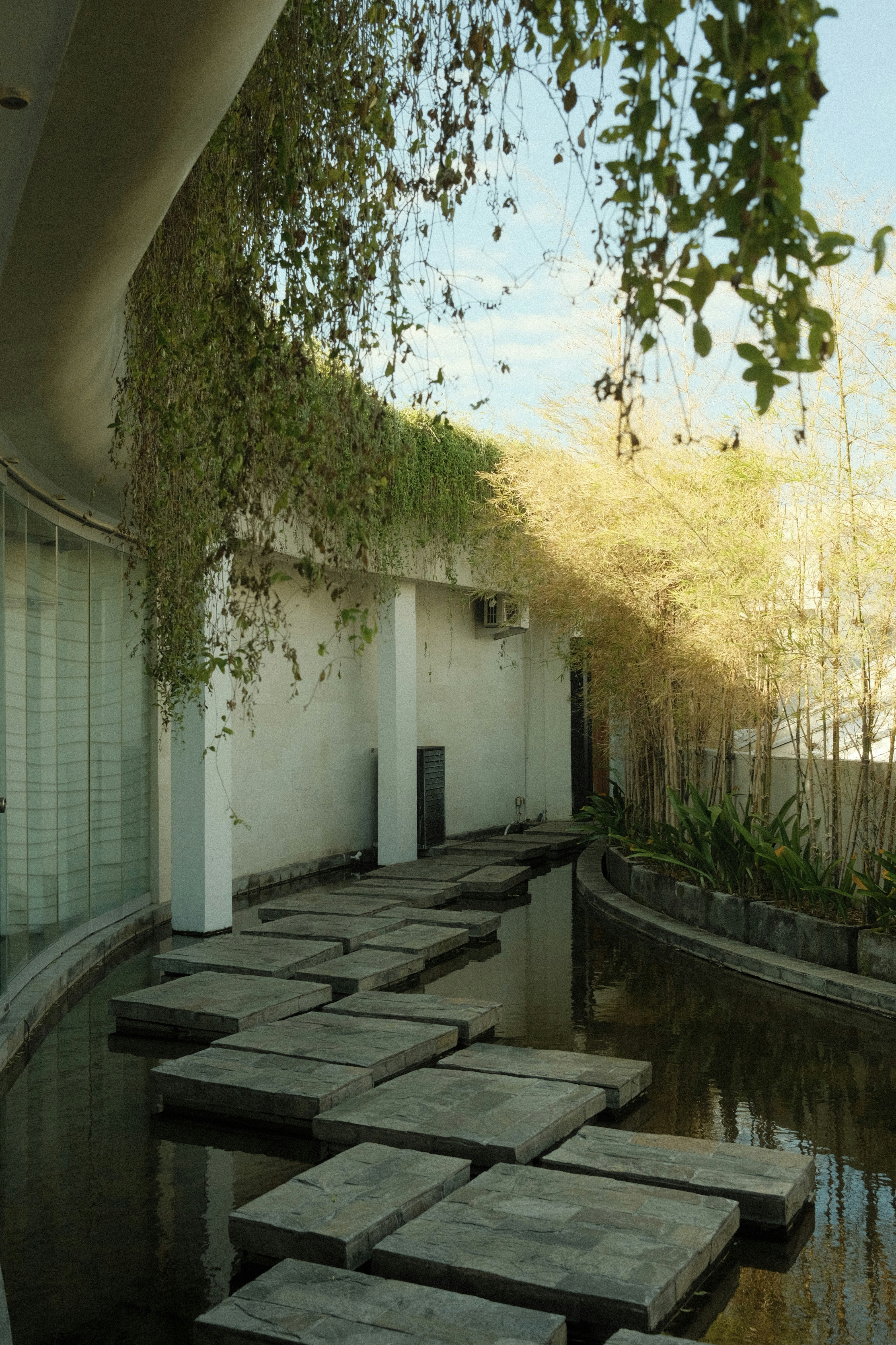 Photo by sophiepengjy