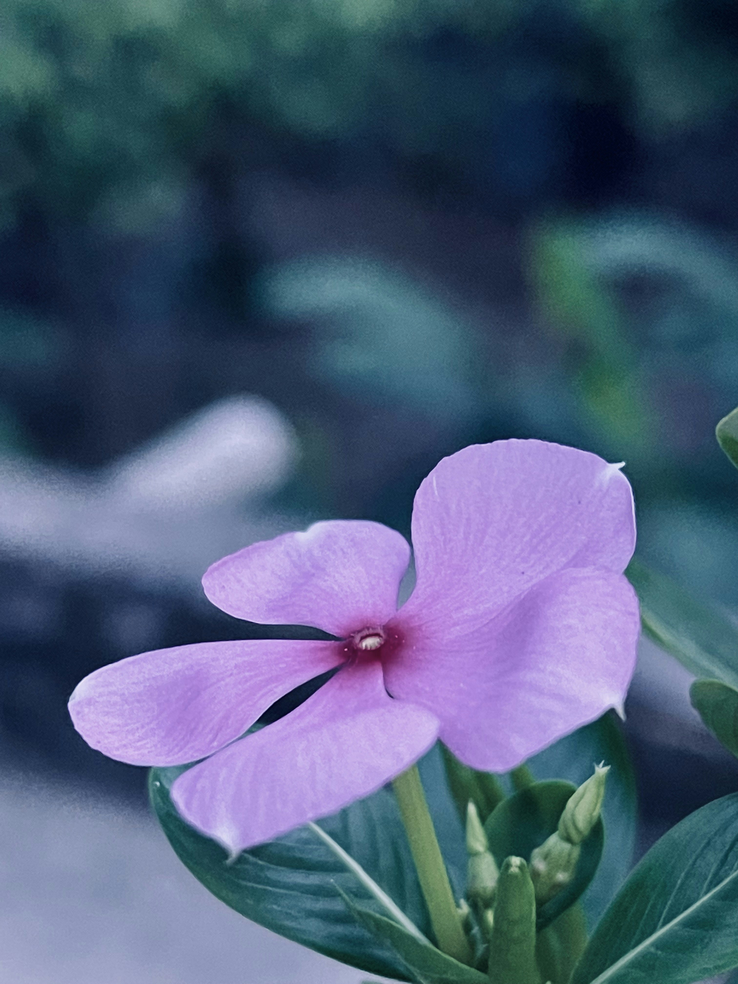 Photo by mdsayedalamshuvo