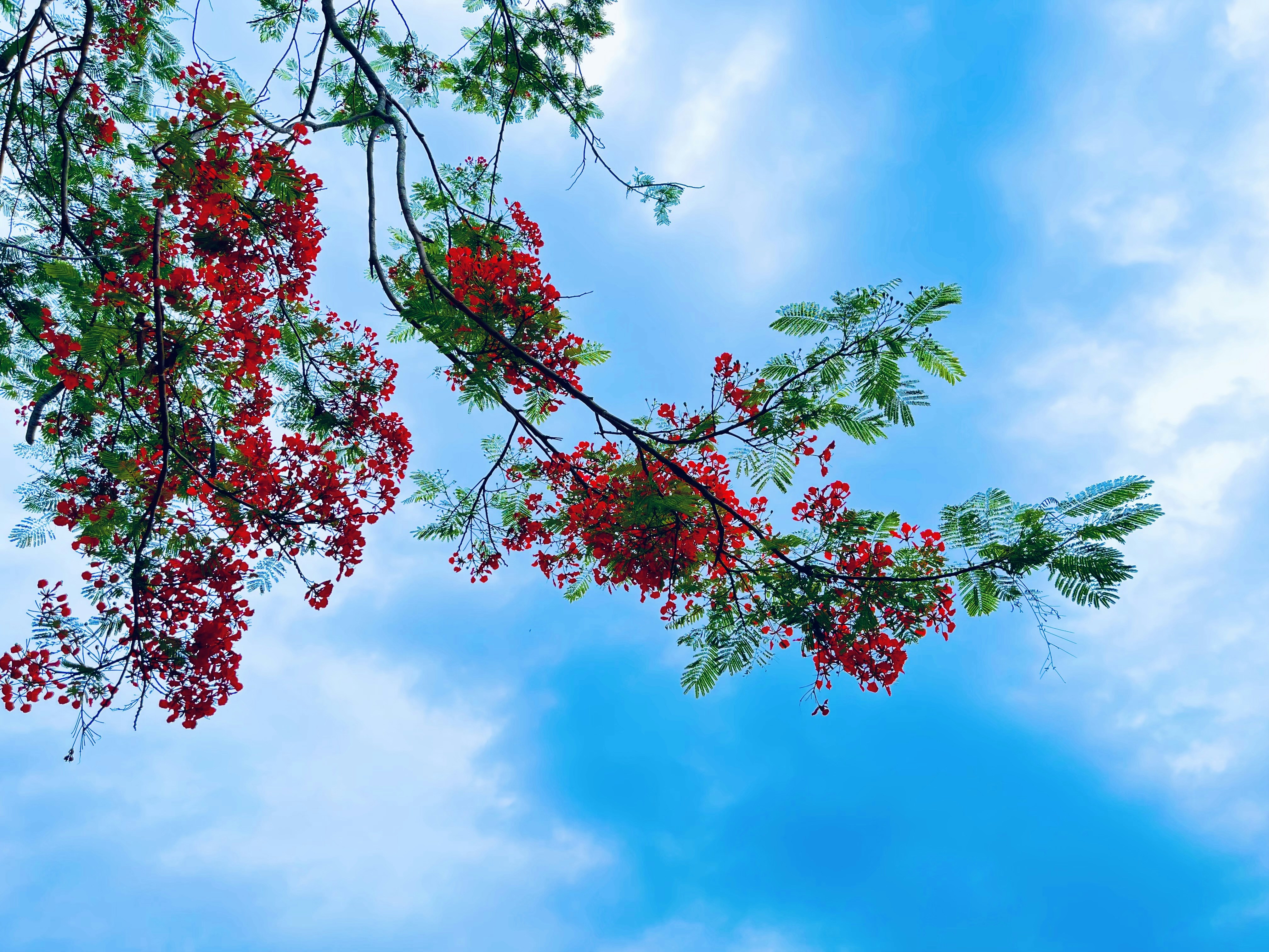 Photo by mdsayedalamshuvo