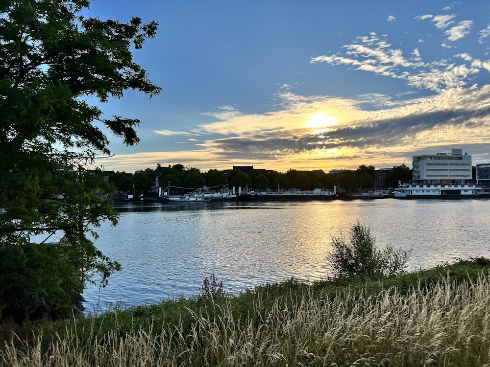 a body of water with buildings and trees around it