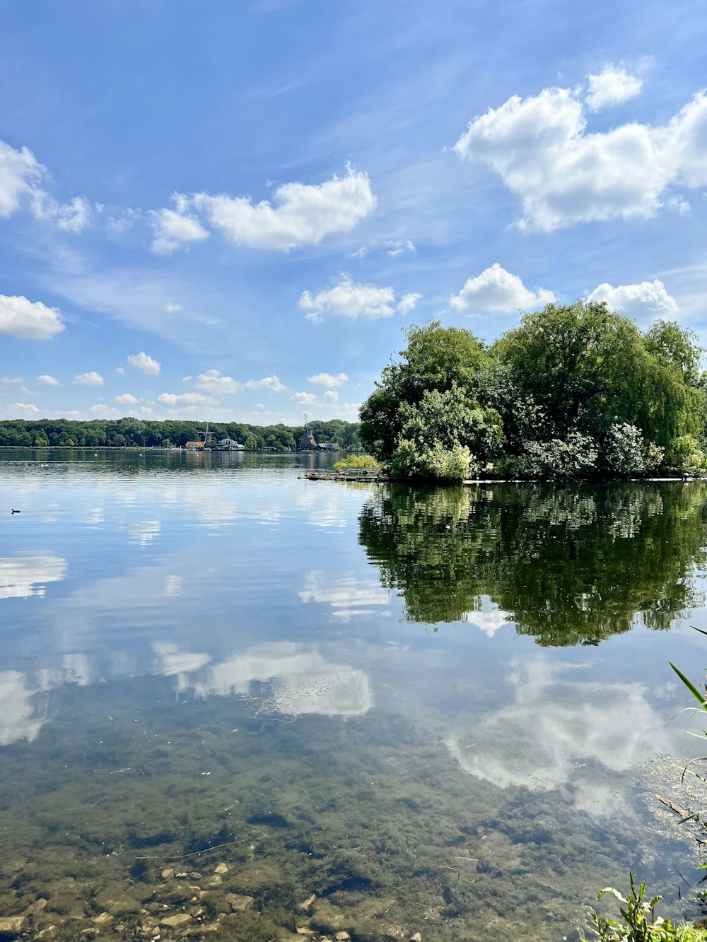 a body of water with trees and a bridge in the background