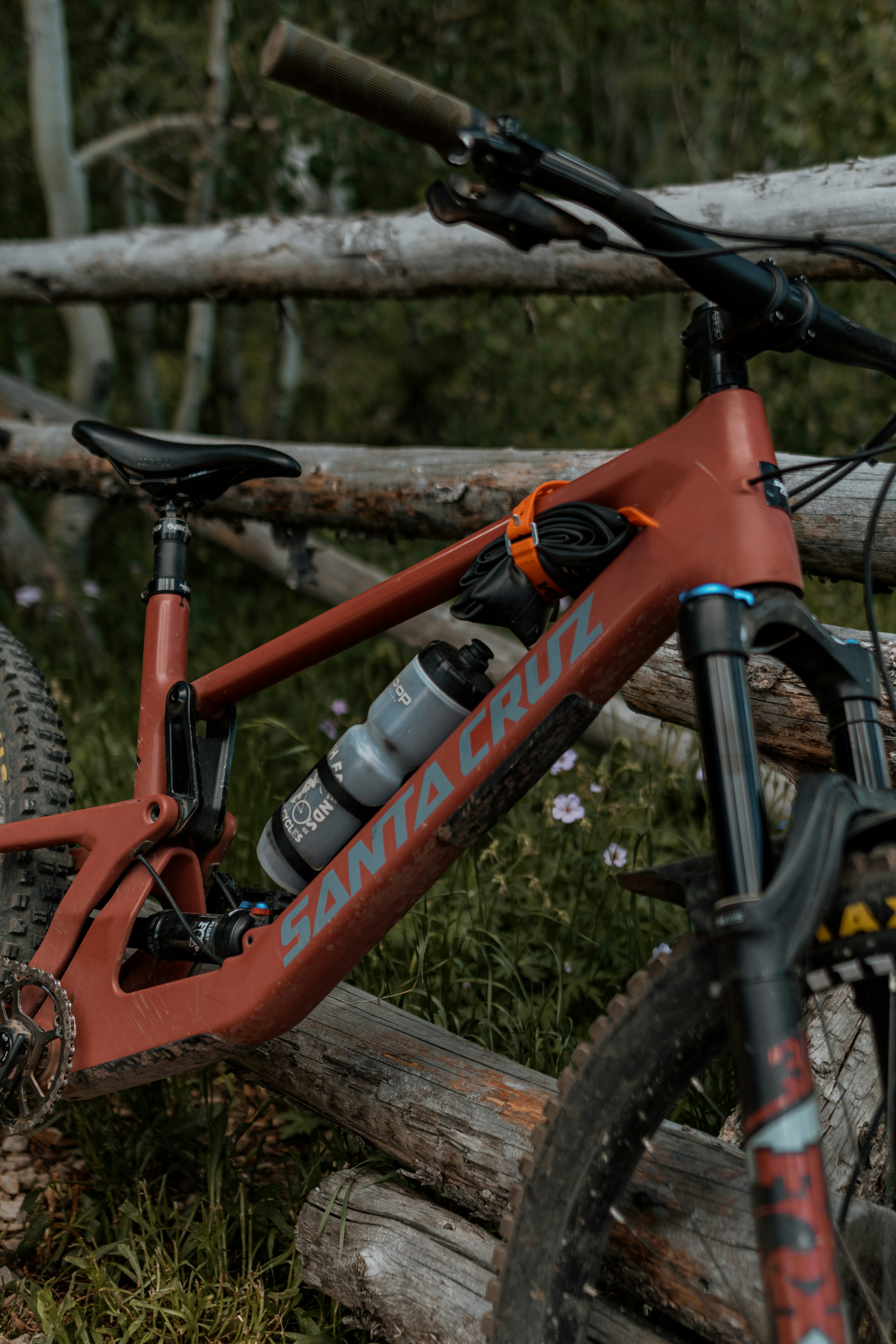 Photo by daniellestein