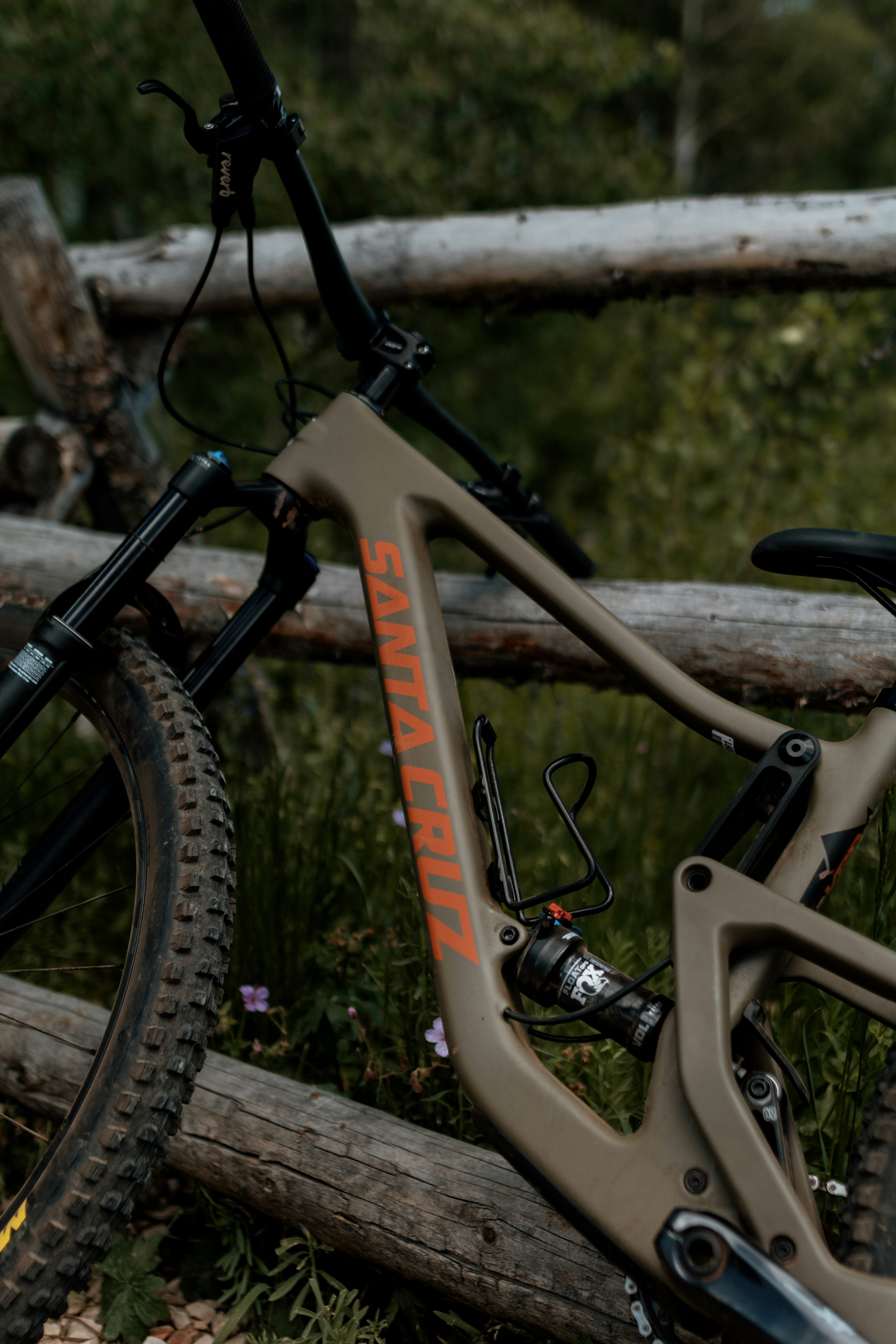 Photo by daniellestein