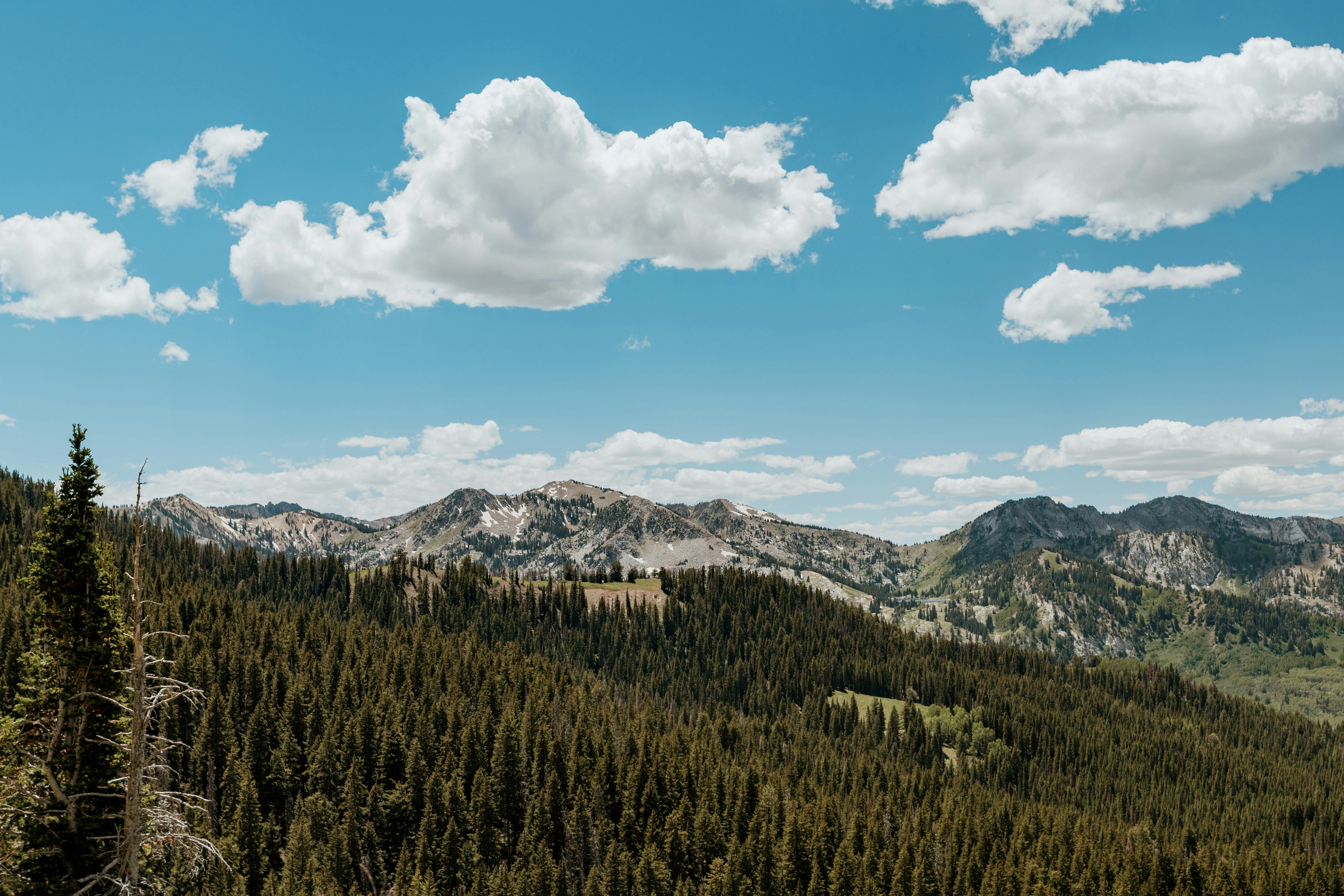 Photo by daniellestein