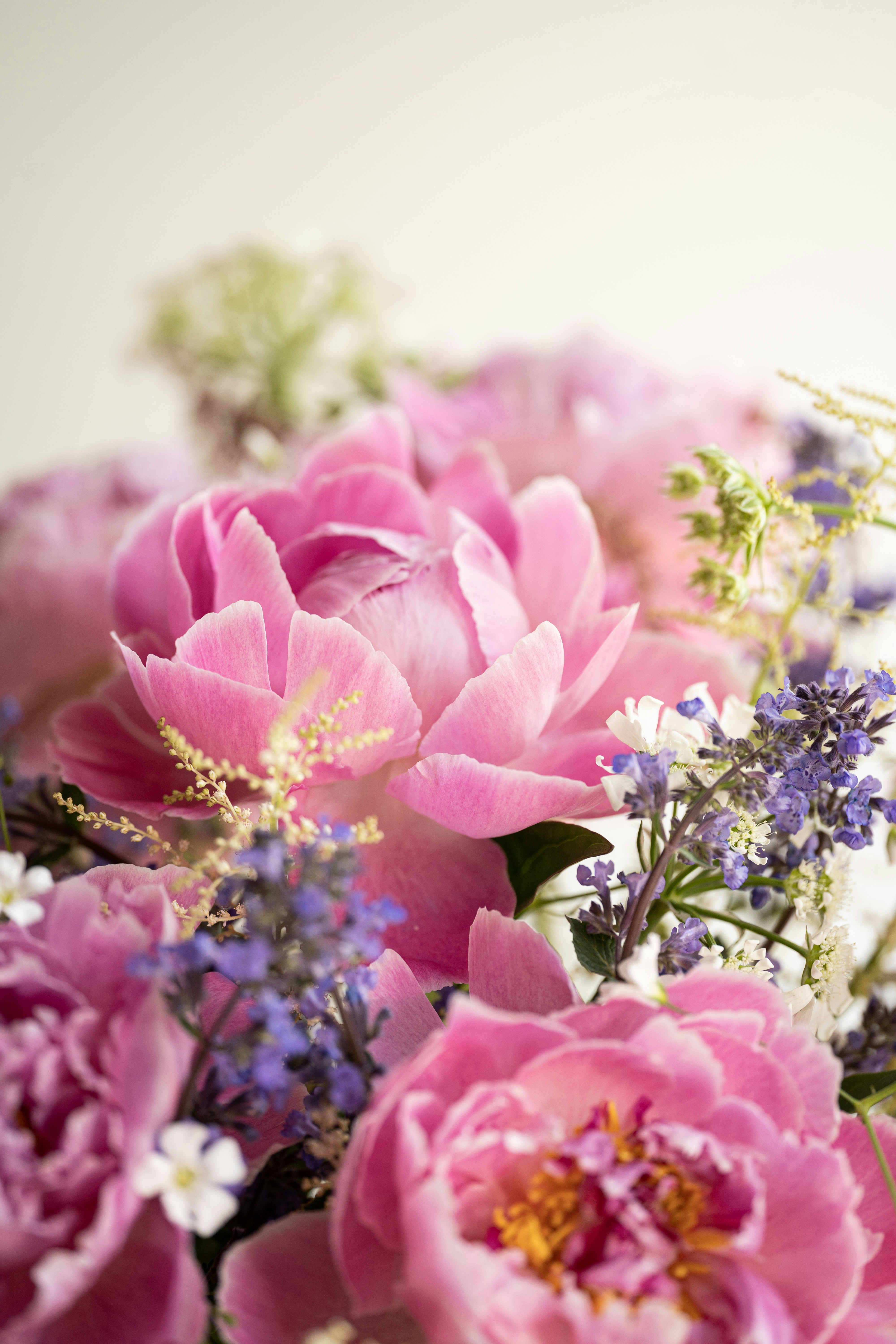 Photo by after_exposure