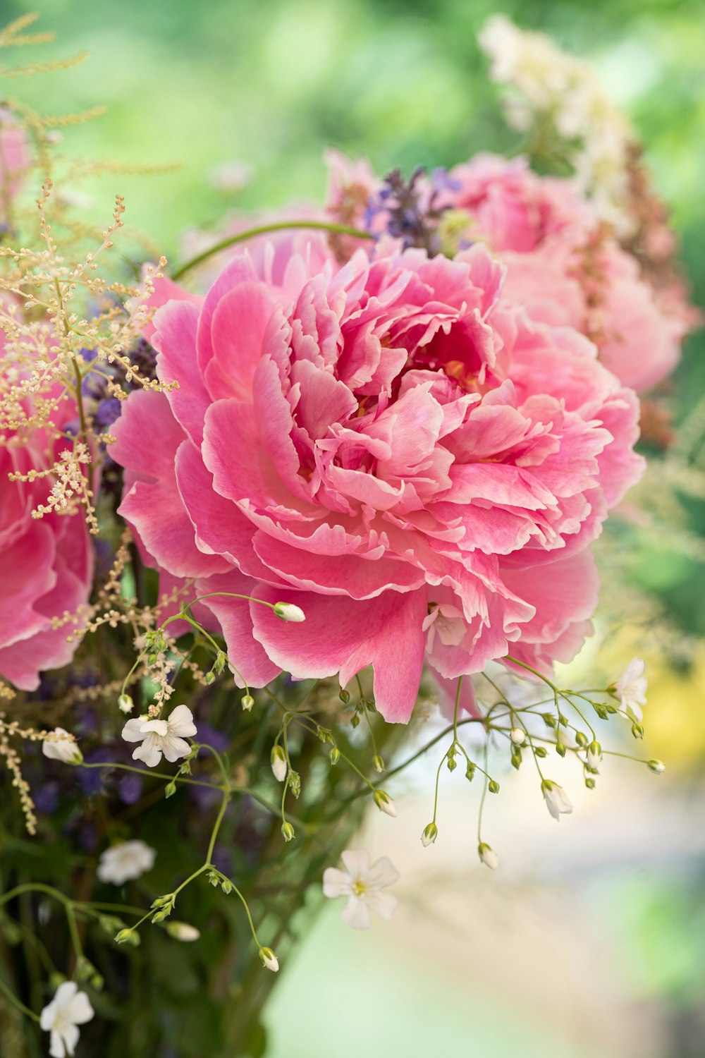 a close up of a flower