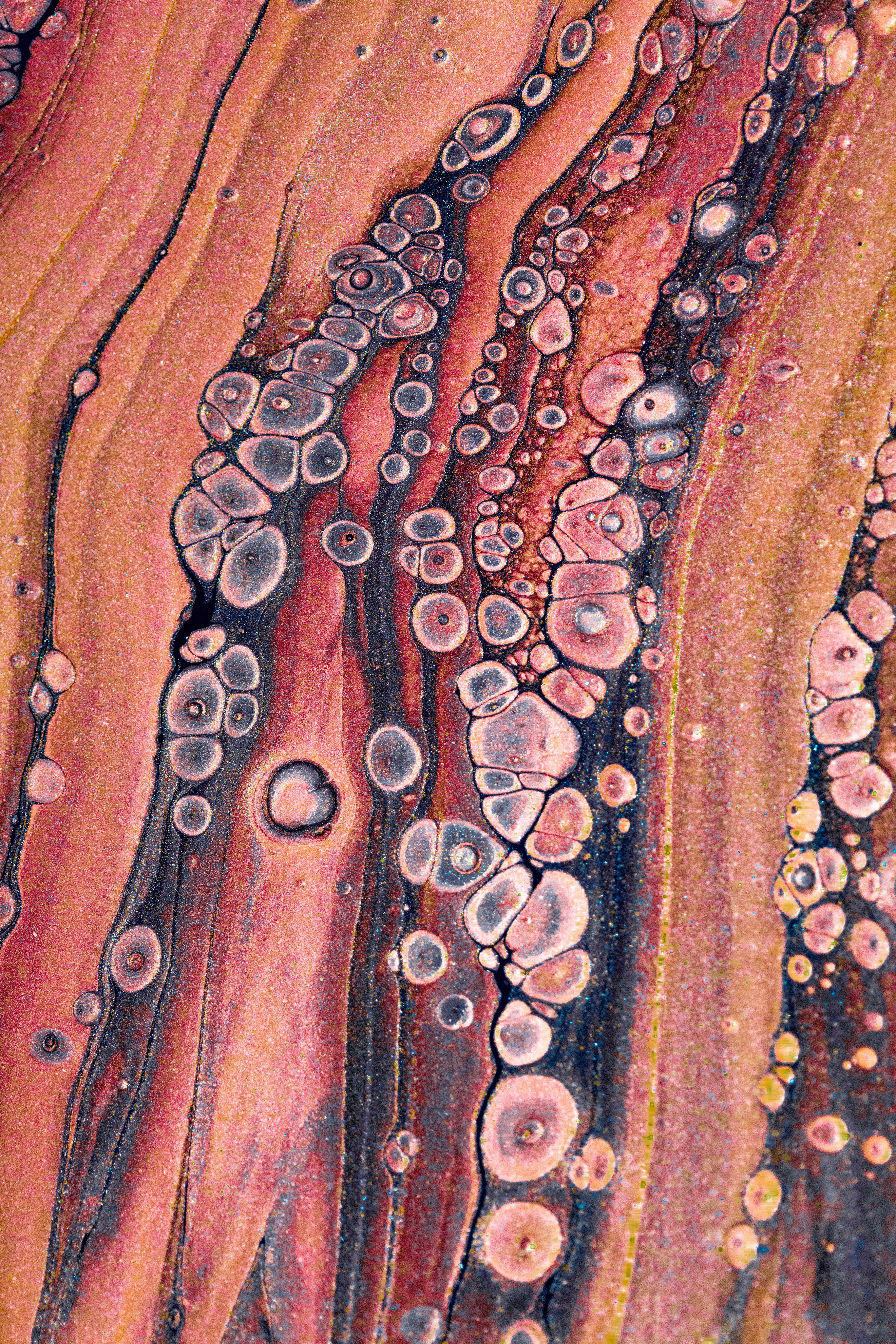 Photo by solenfeyissa