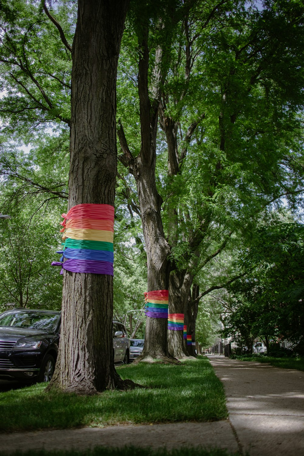 a tree with a rainbow colored cloth from it