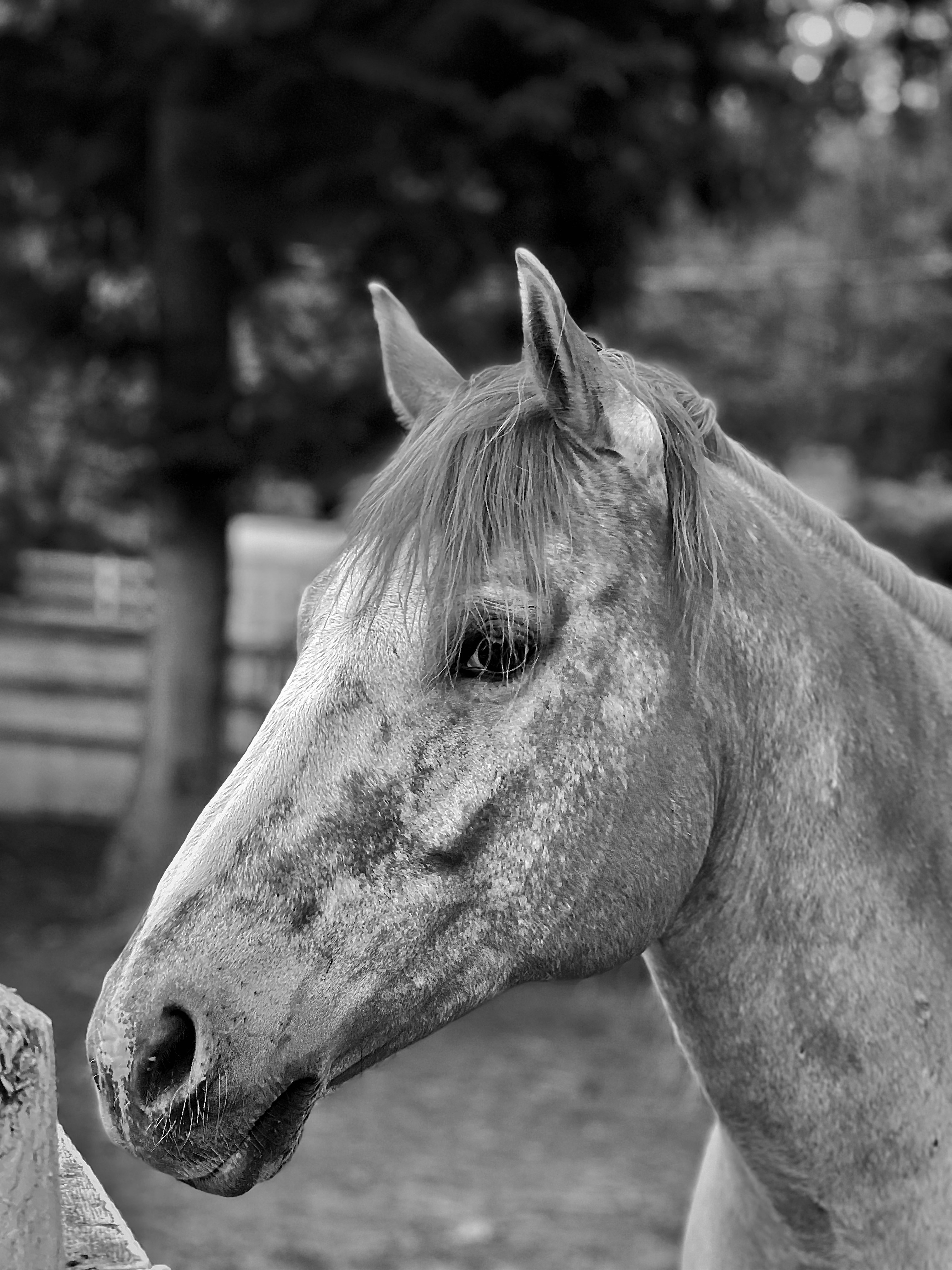 Photo by summersmyth79