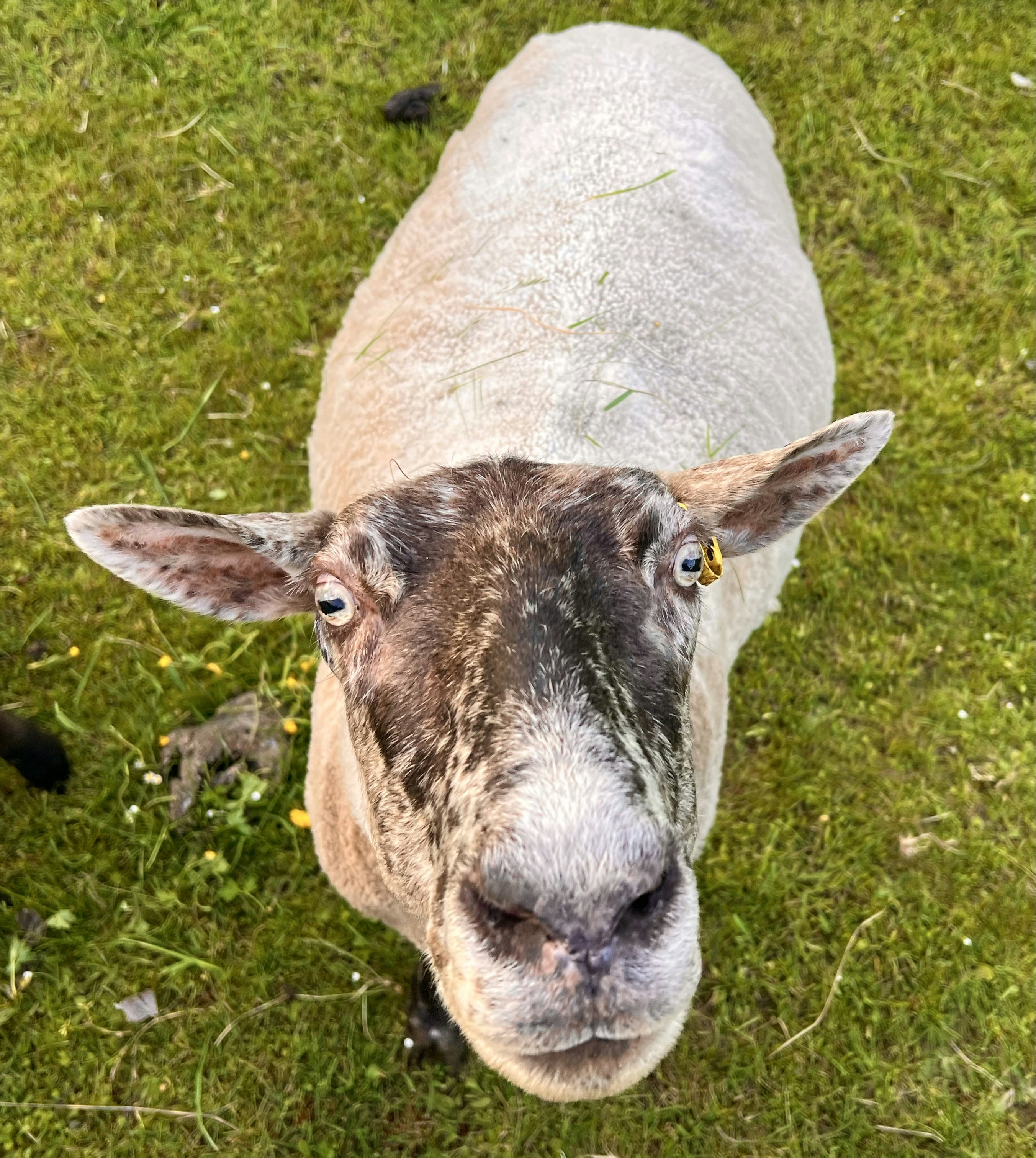 Photo by summersmyth79