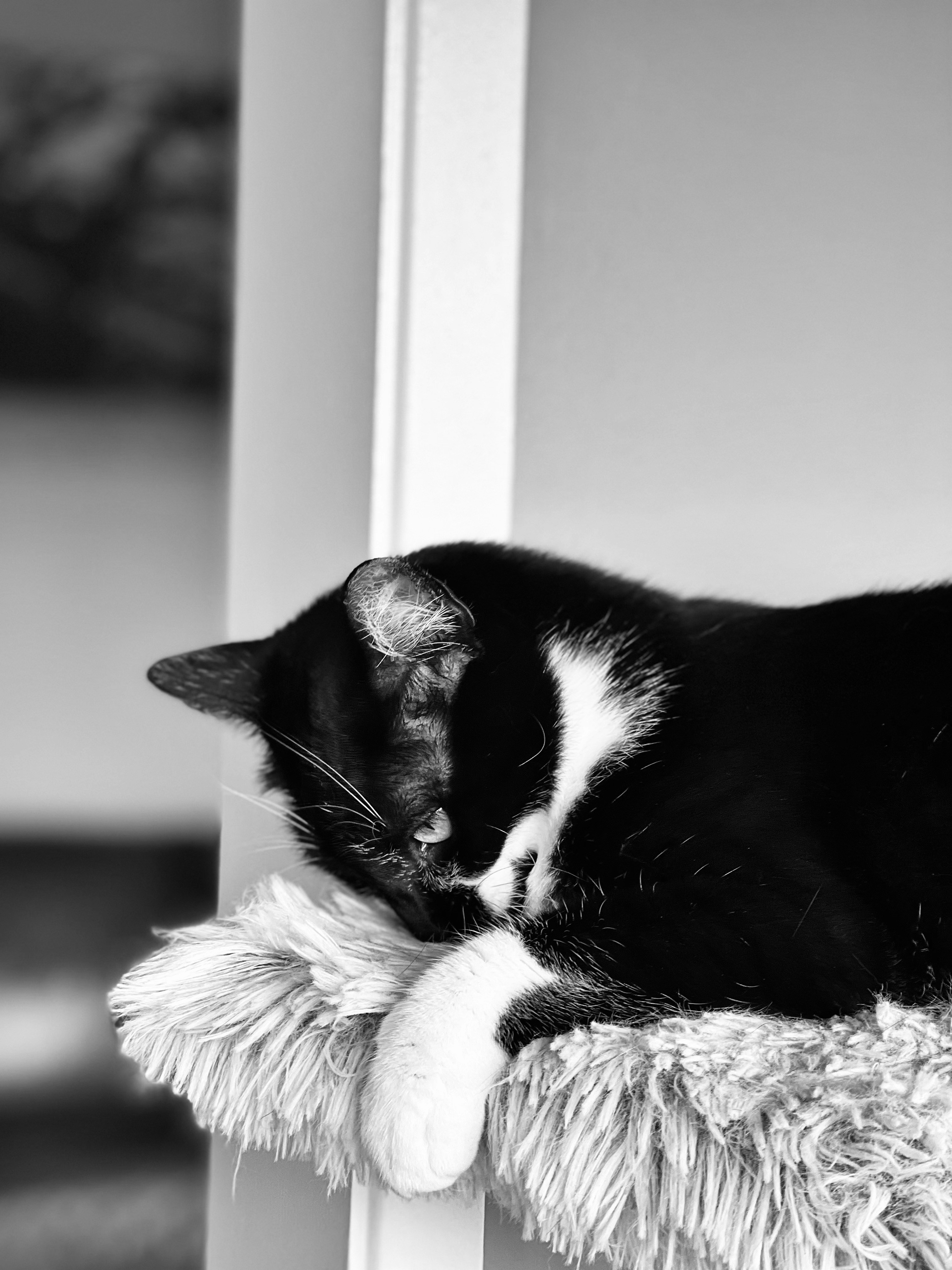 Photo by summersmyth79