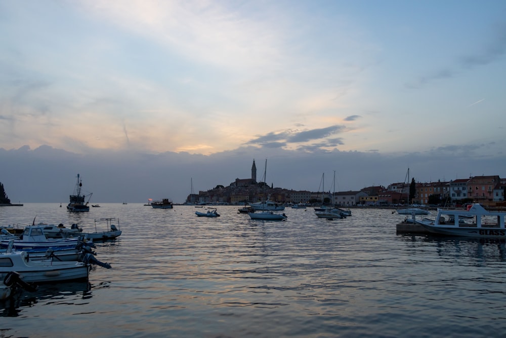 boats in the water