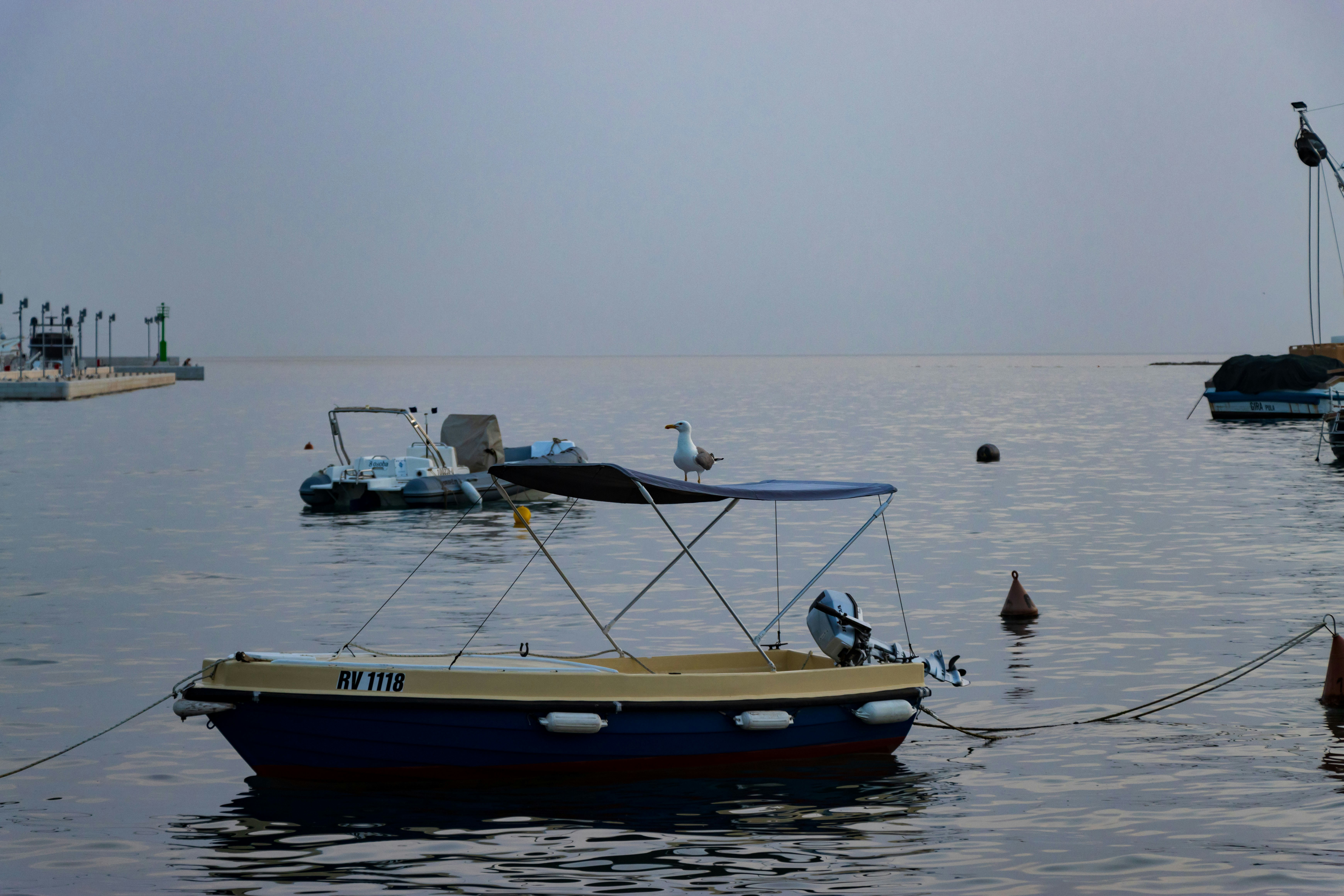 a bird on a boat