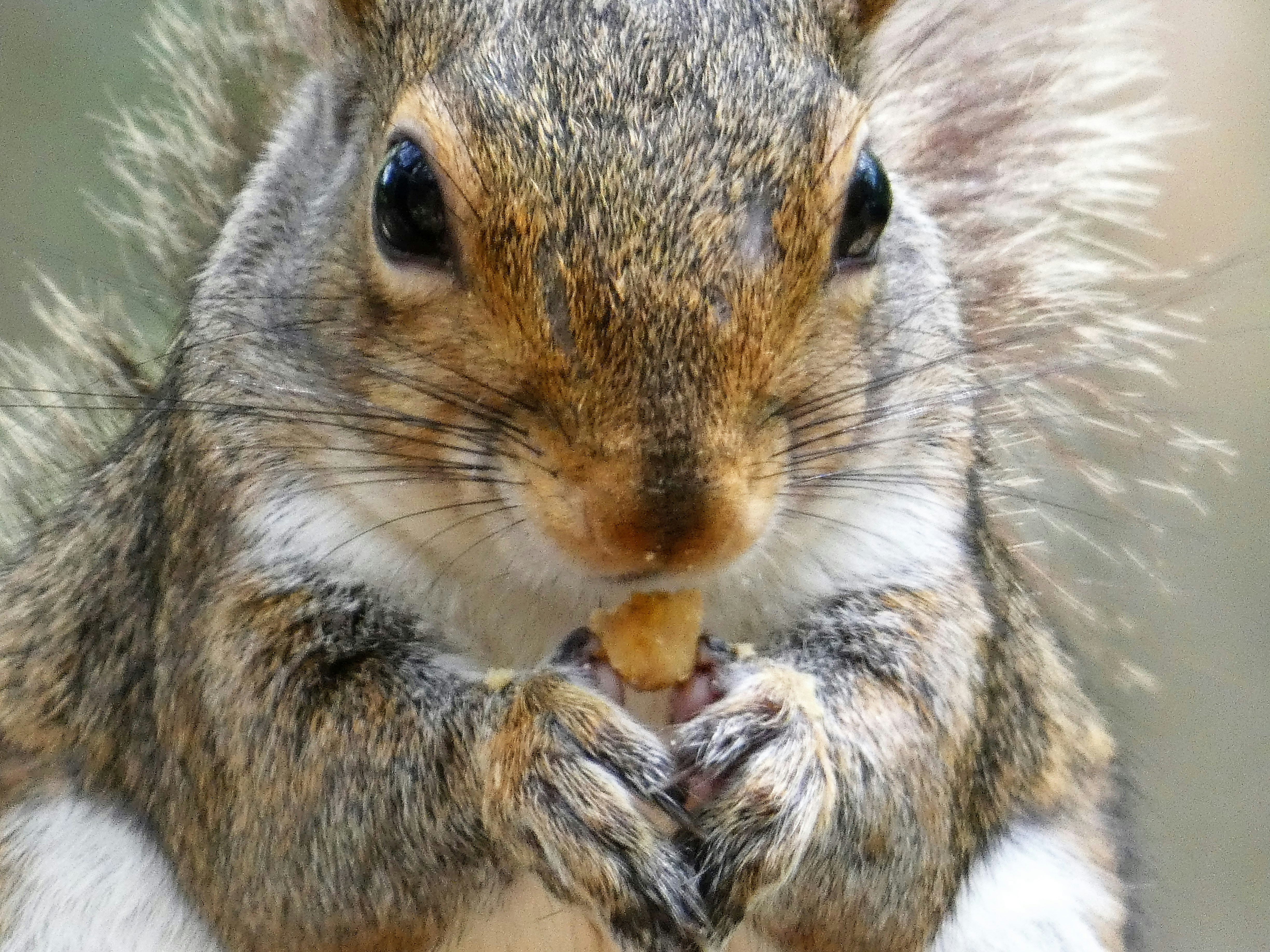 Photo by arkansas007