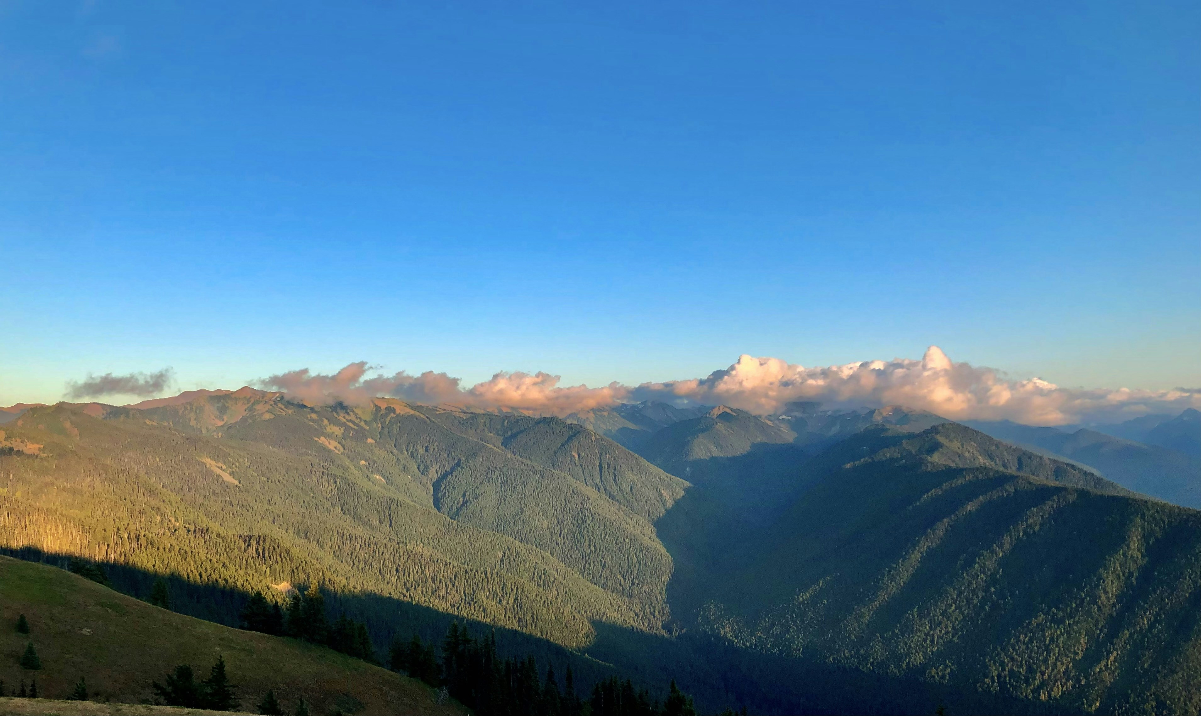 Photo by kylelockett