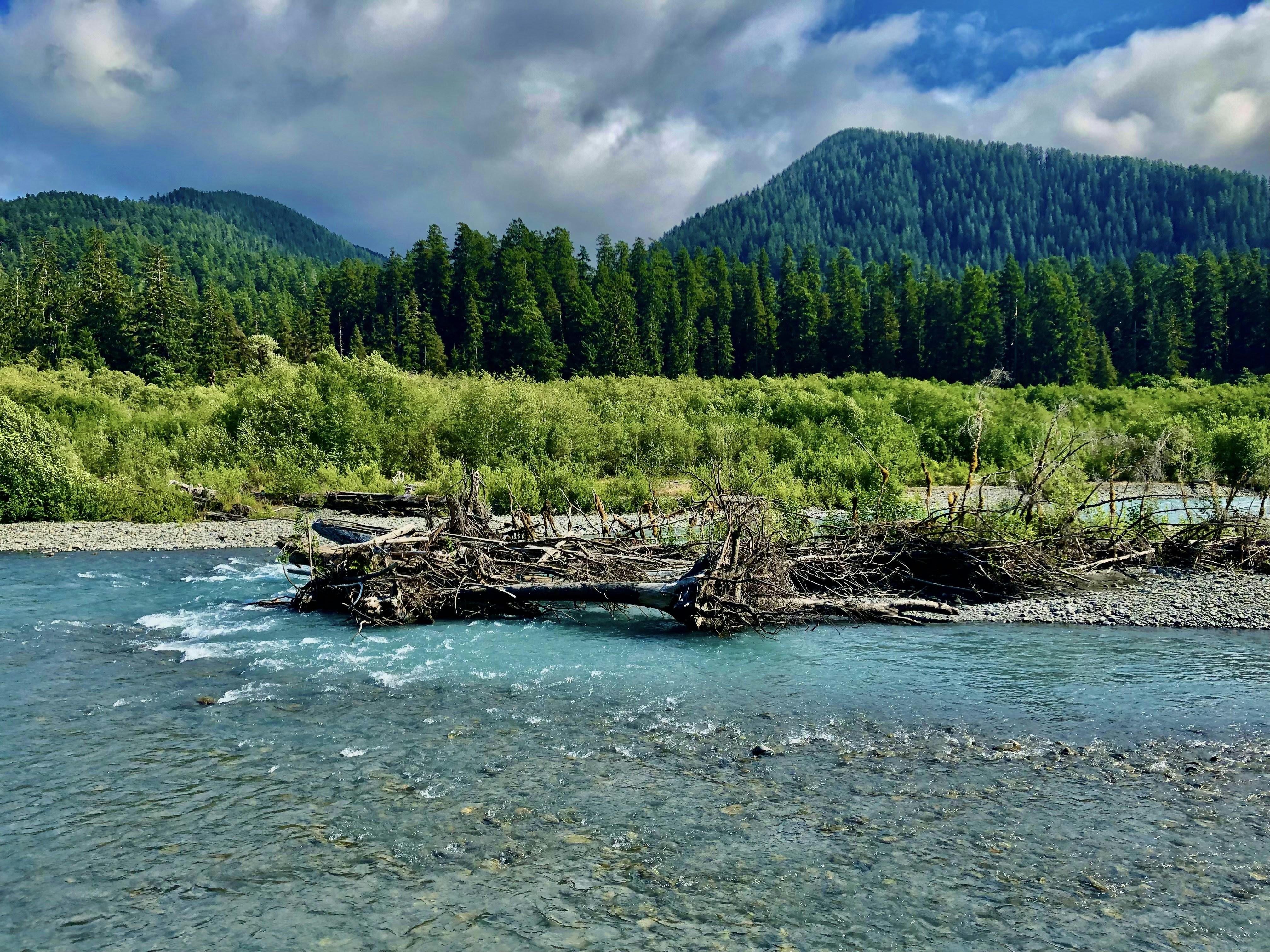 Photo by kylelockett