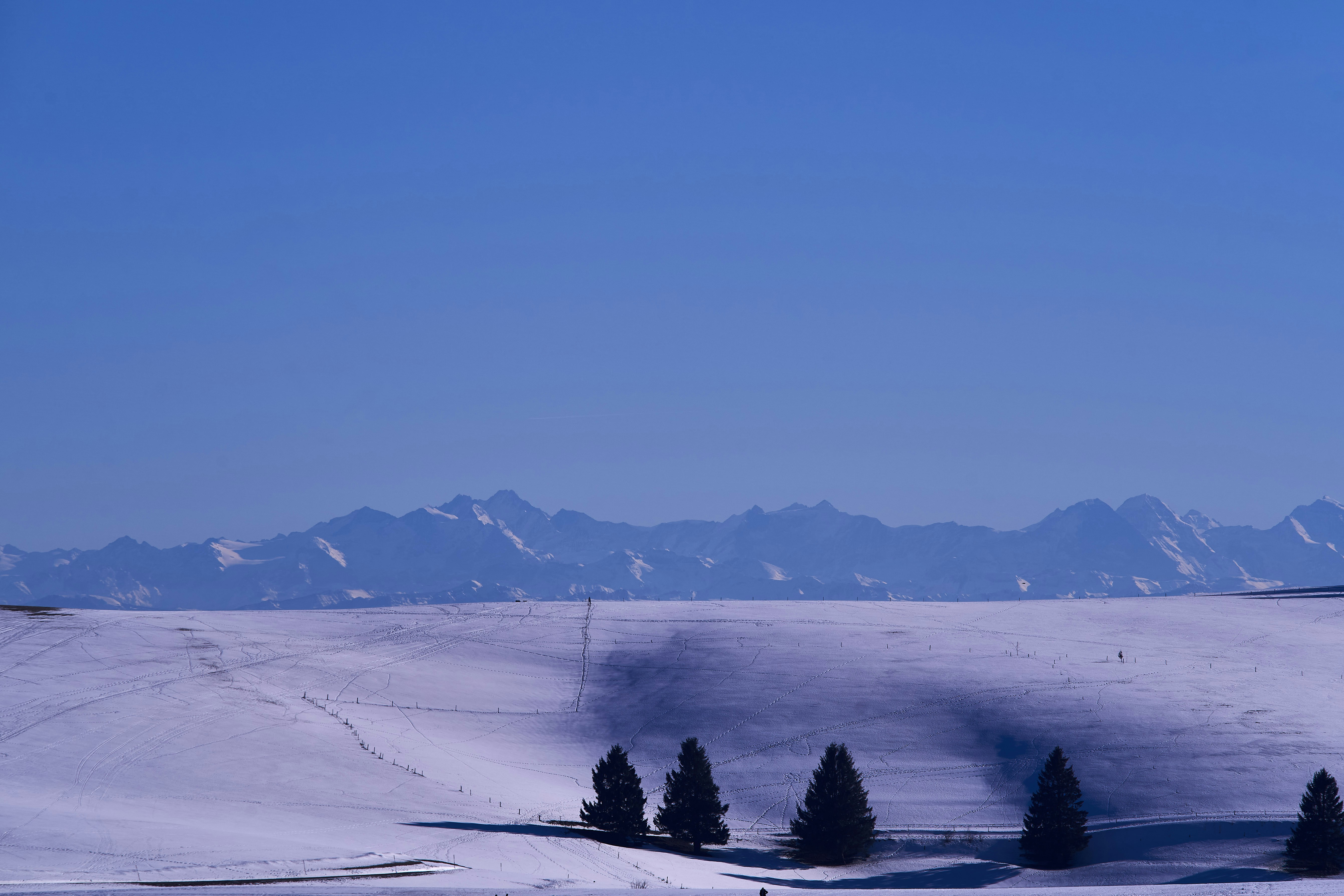 Photo by wolfgang_hasselmann