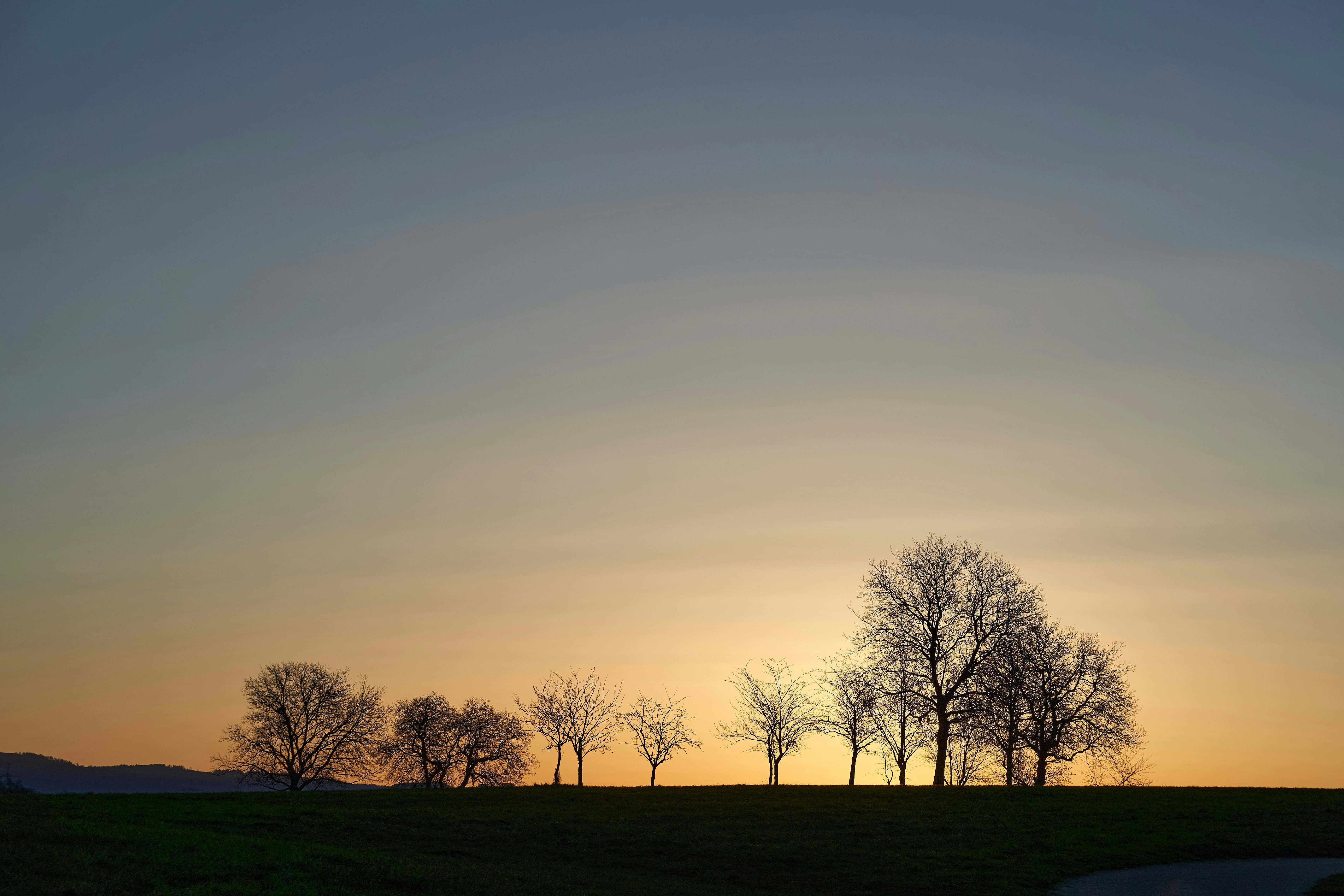 Photo by wolfgang_hasselmann