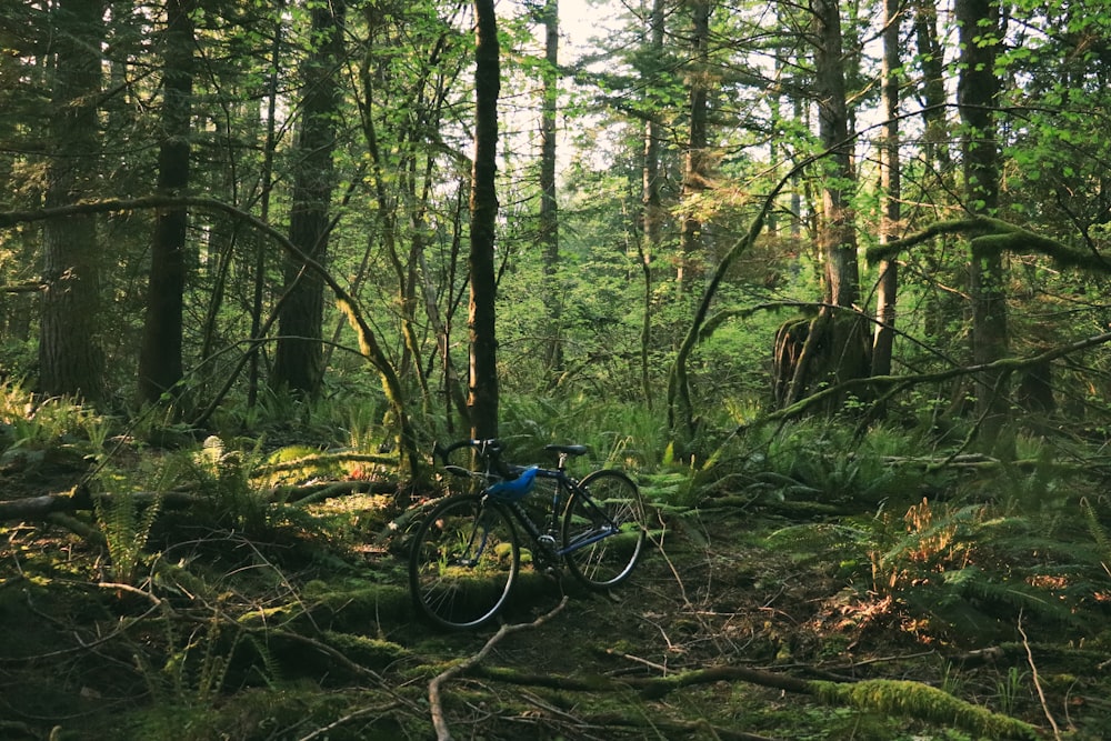 a bicycle parked in the woods