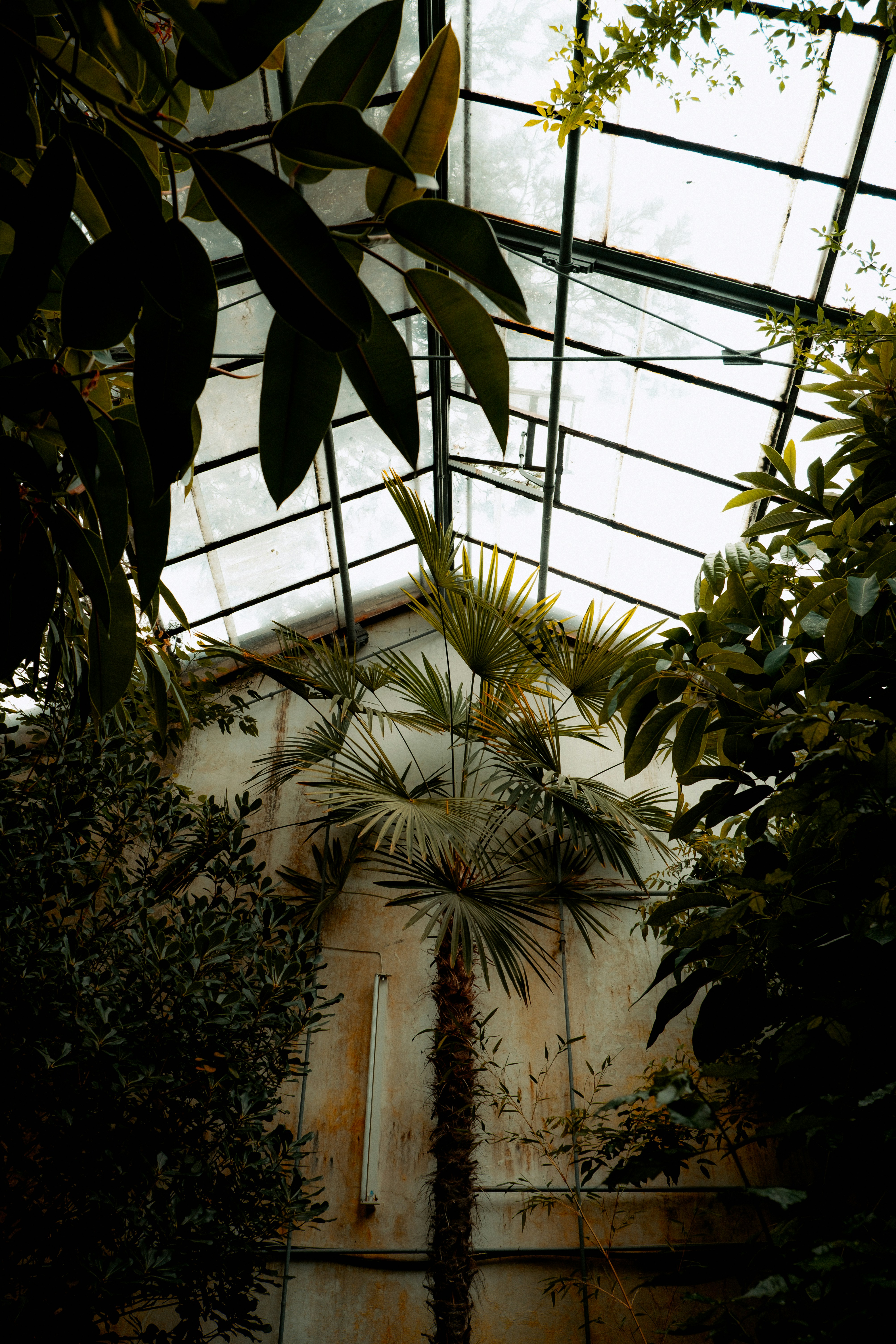 Photo by arnold_nagy