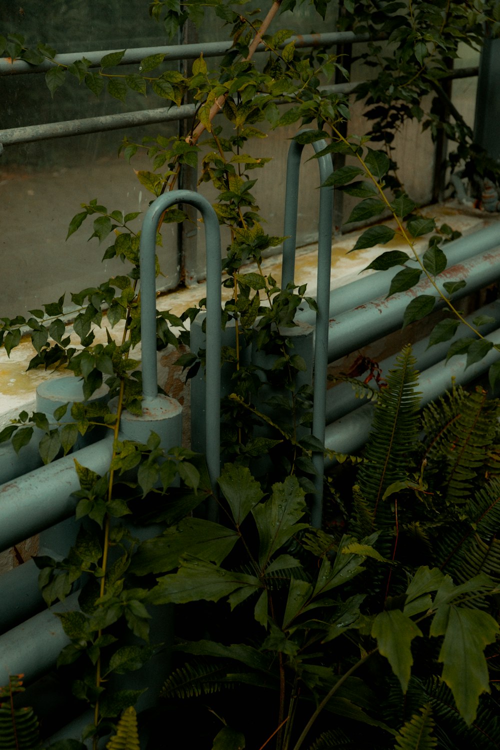 a metal pipe in a garden