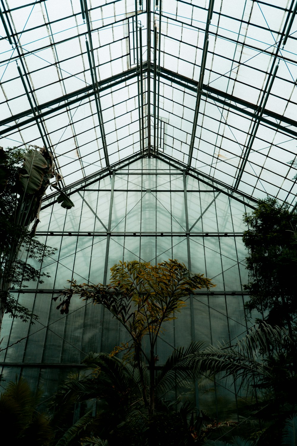 a building with glass walls