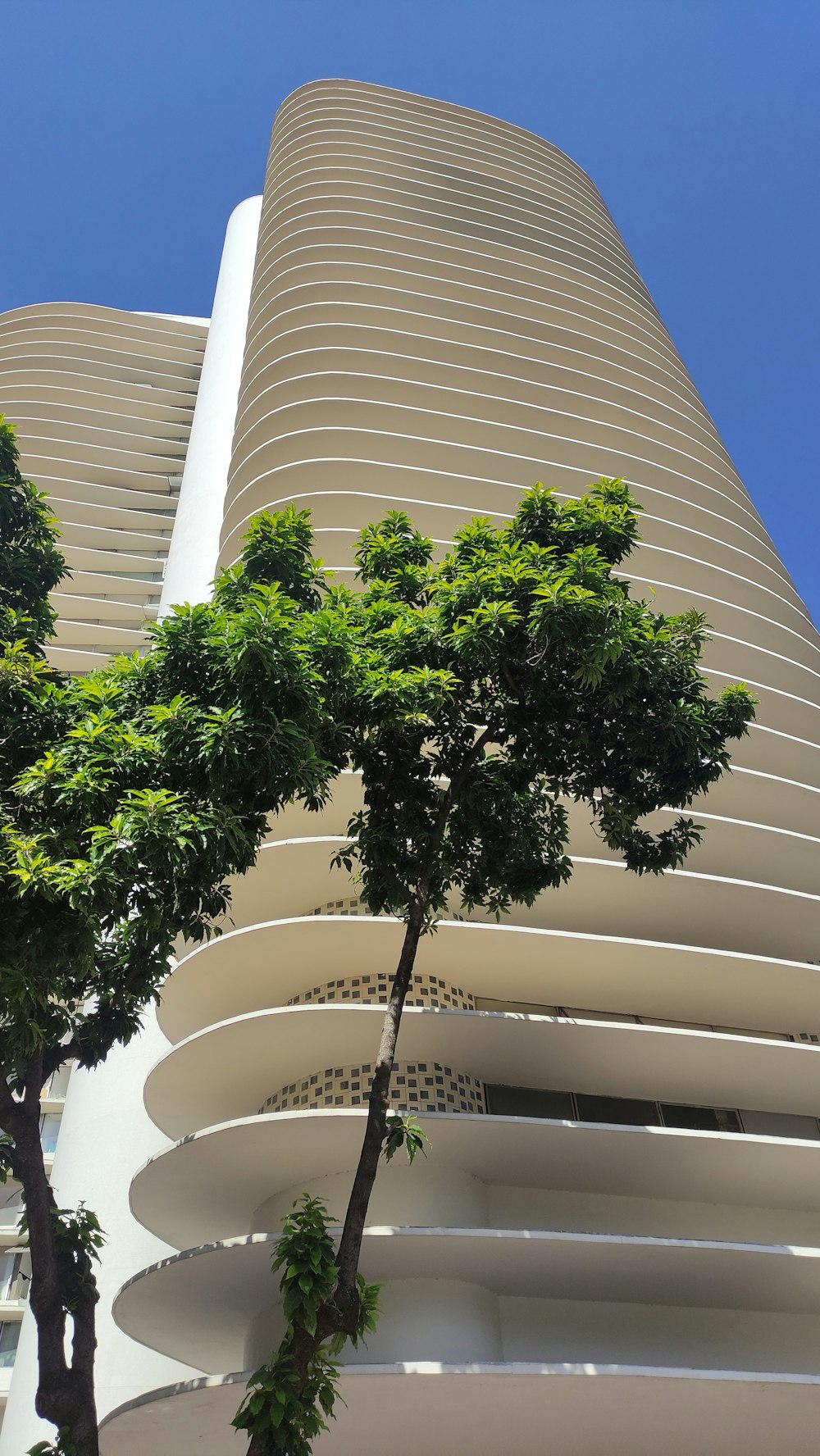 Un edificio alto con árboles frente a él