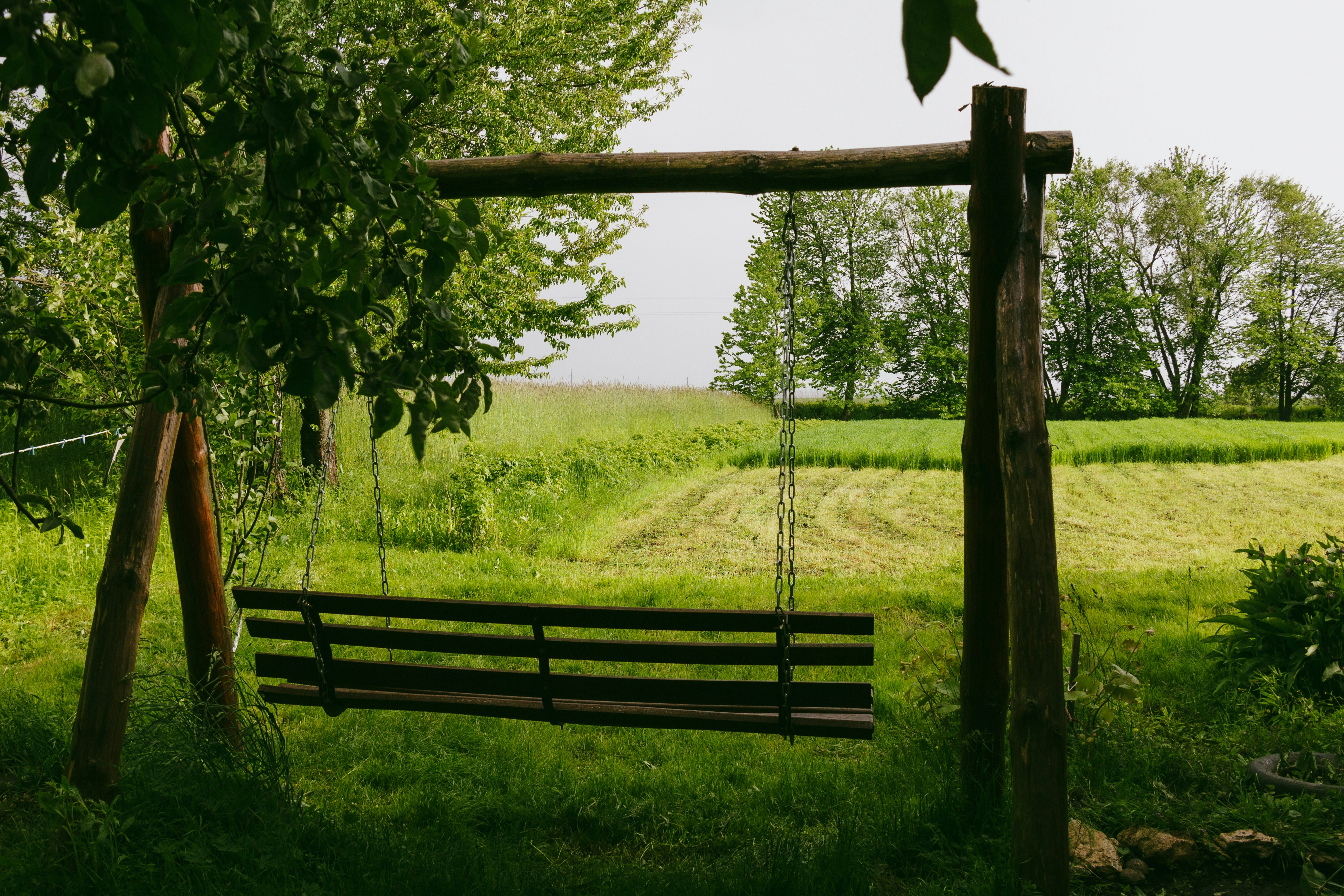 Photo by viktorsmoliak