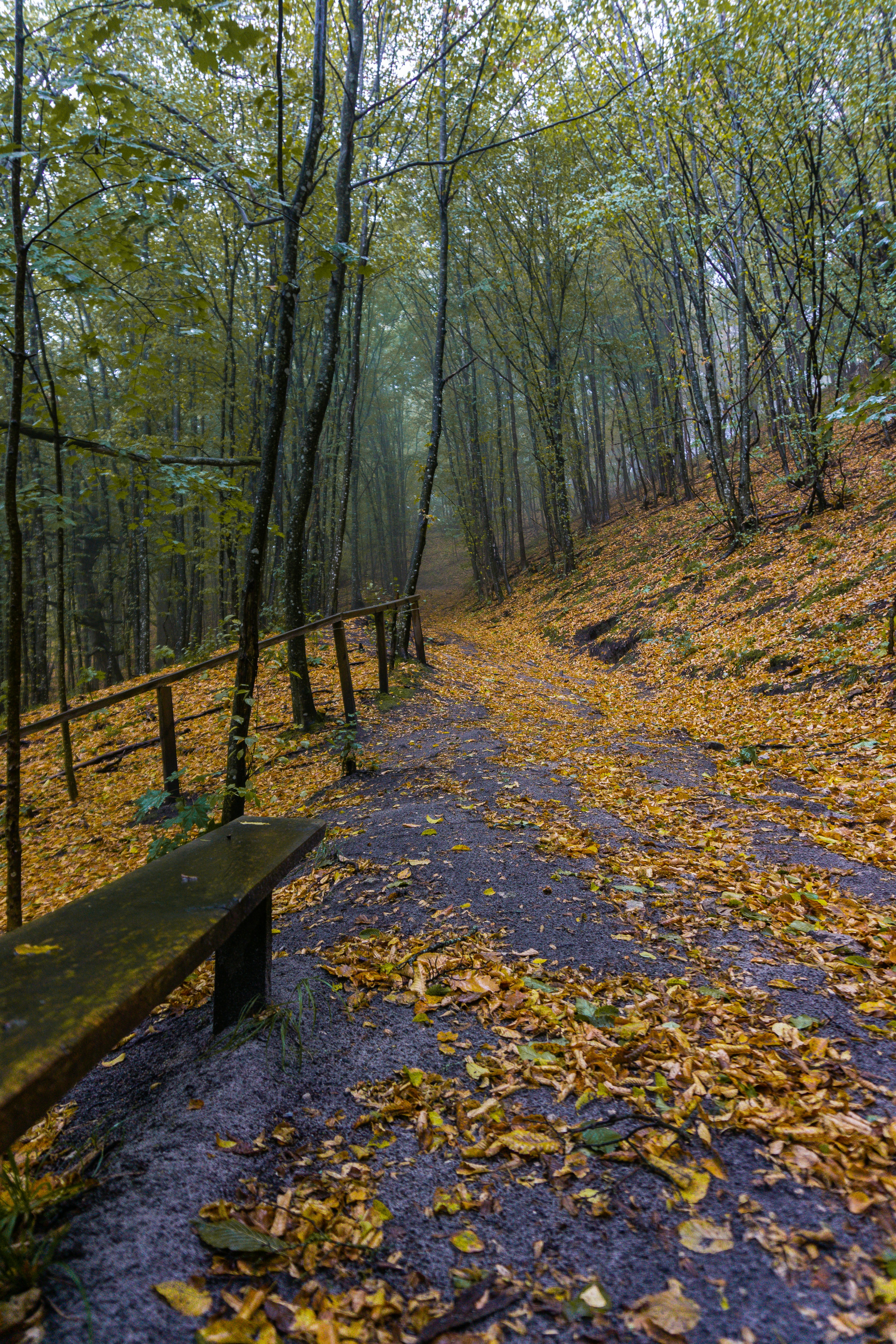 Photo by viktorsmoliak