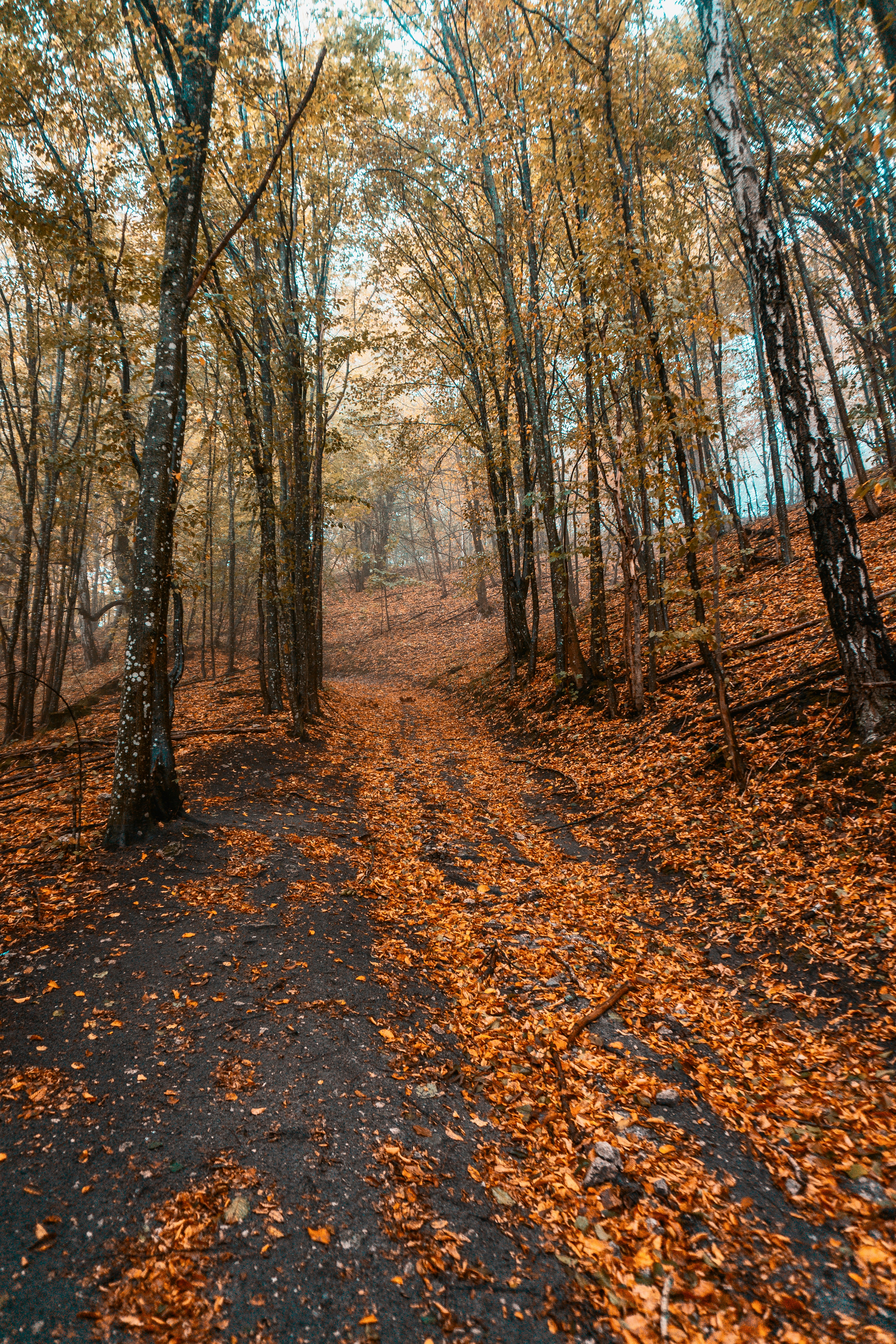 Photo by viktorsmoliak