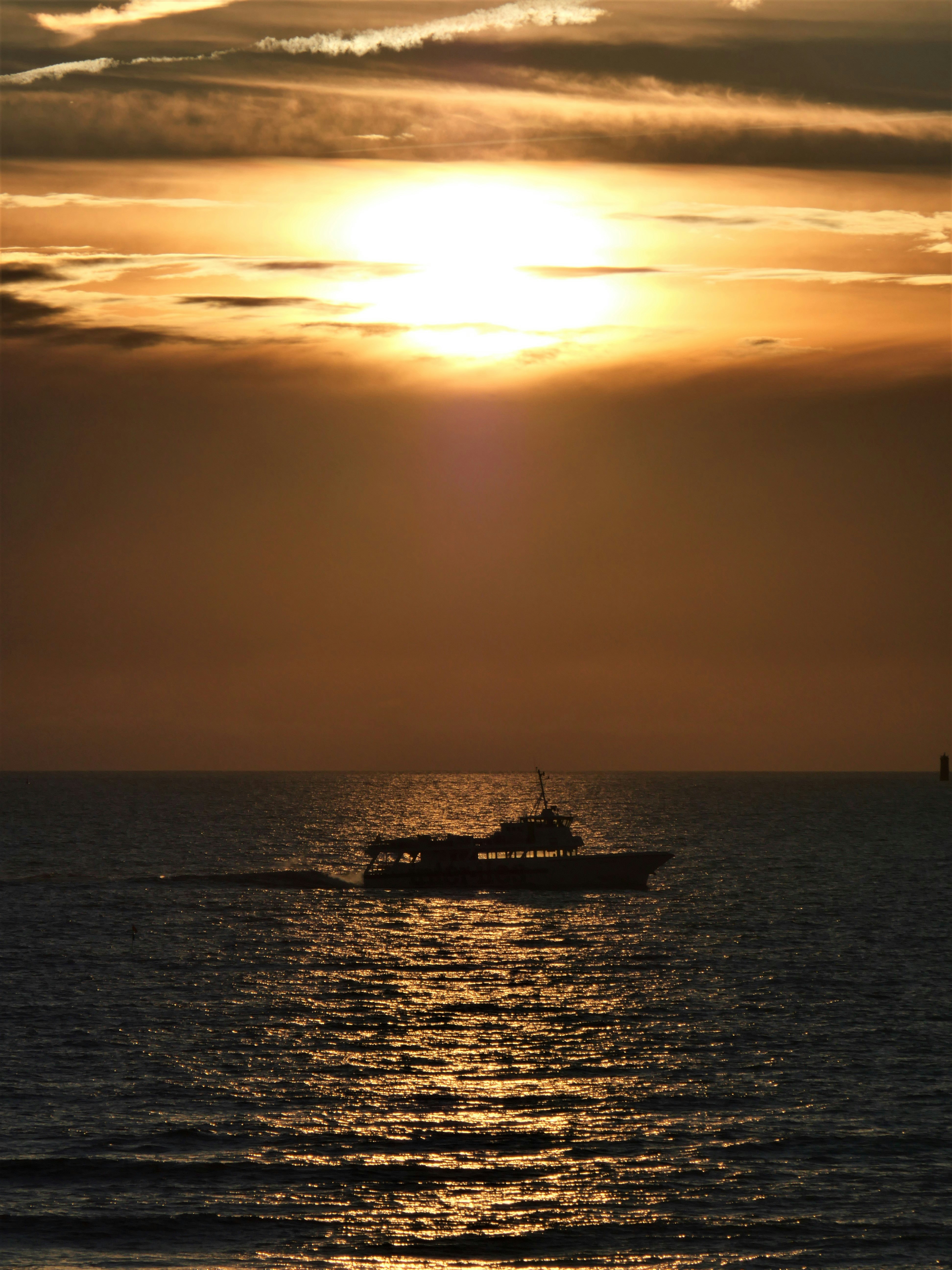 Photo by nimbus_vulpis