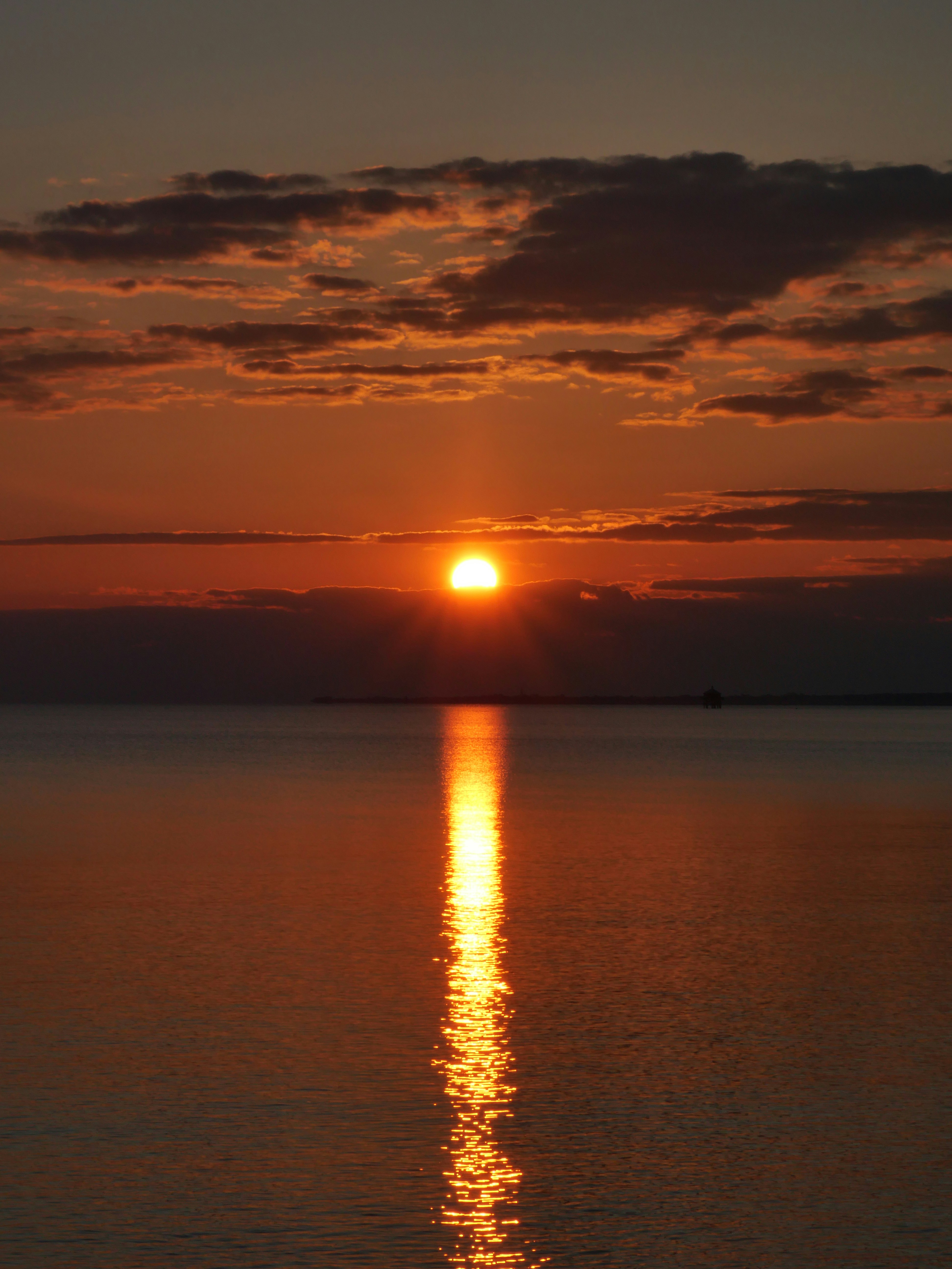 Photo by nimbus_vulpis