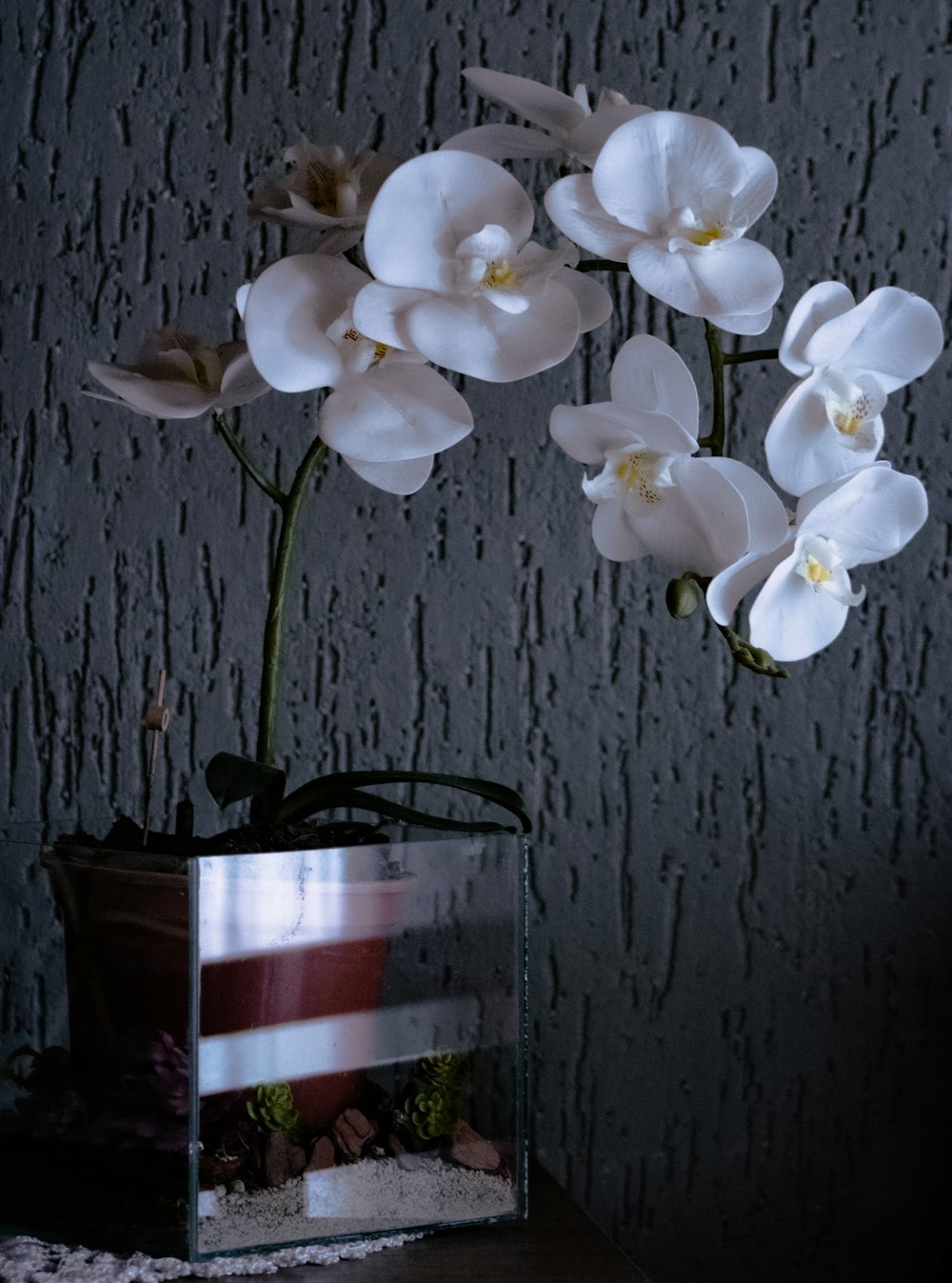 white flowers in a vase