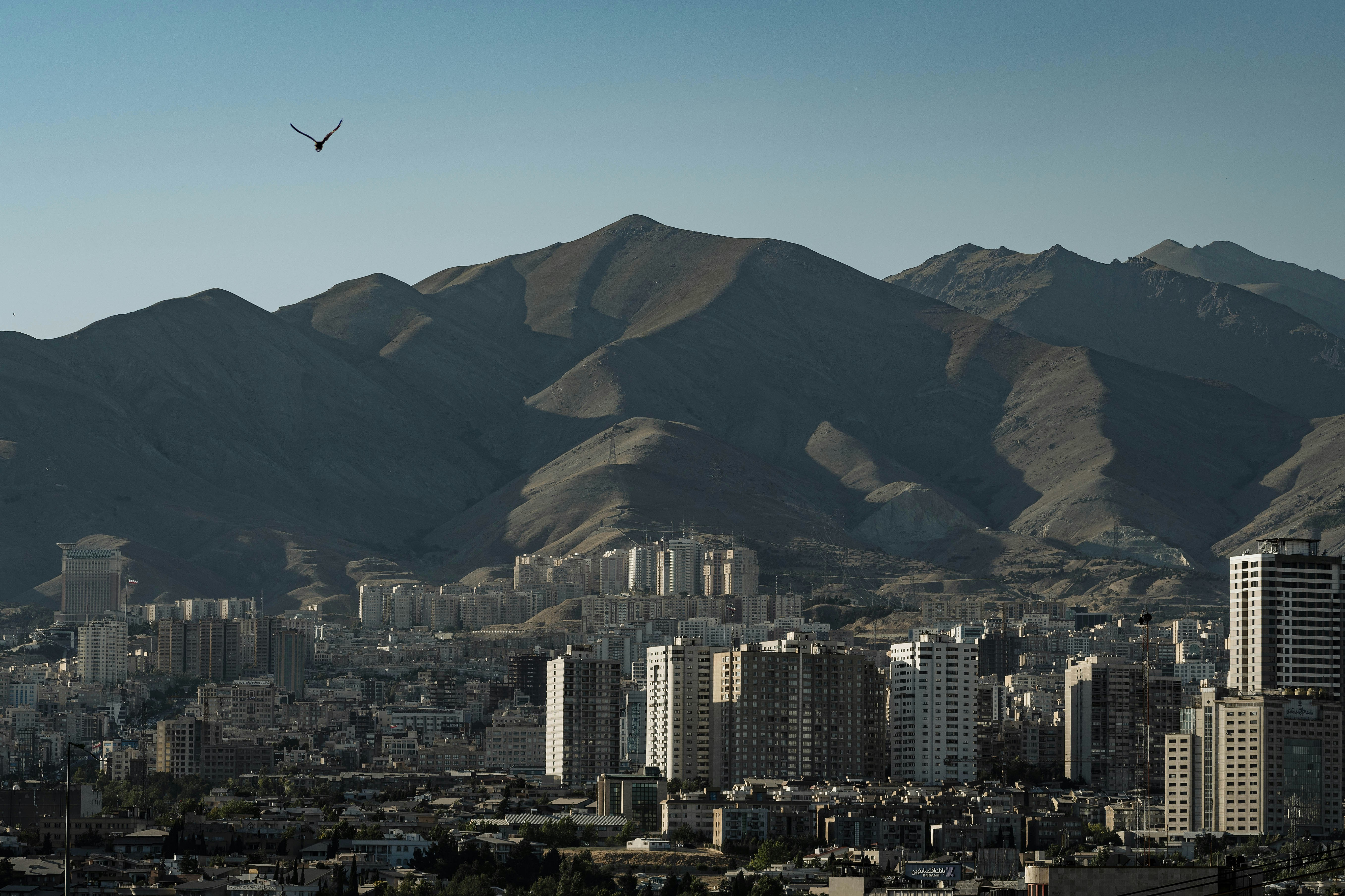 Photo by s_ahmadreza_p