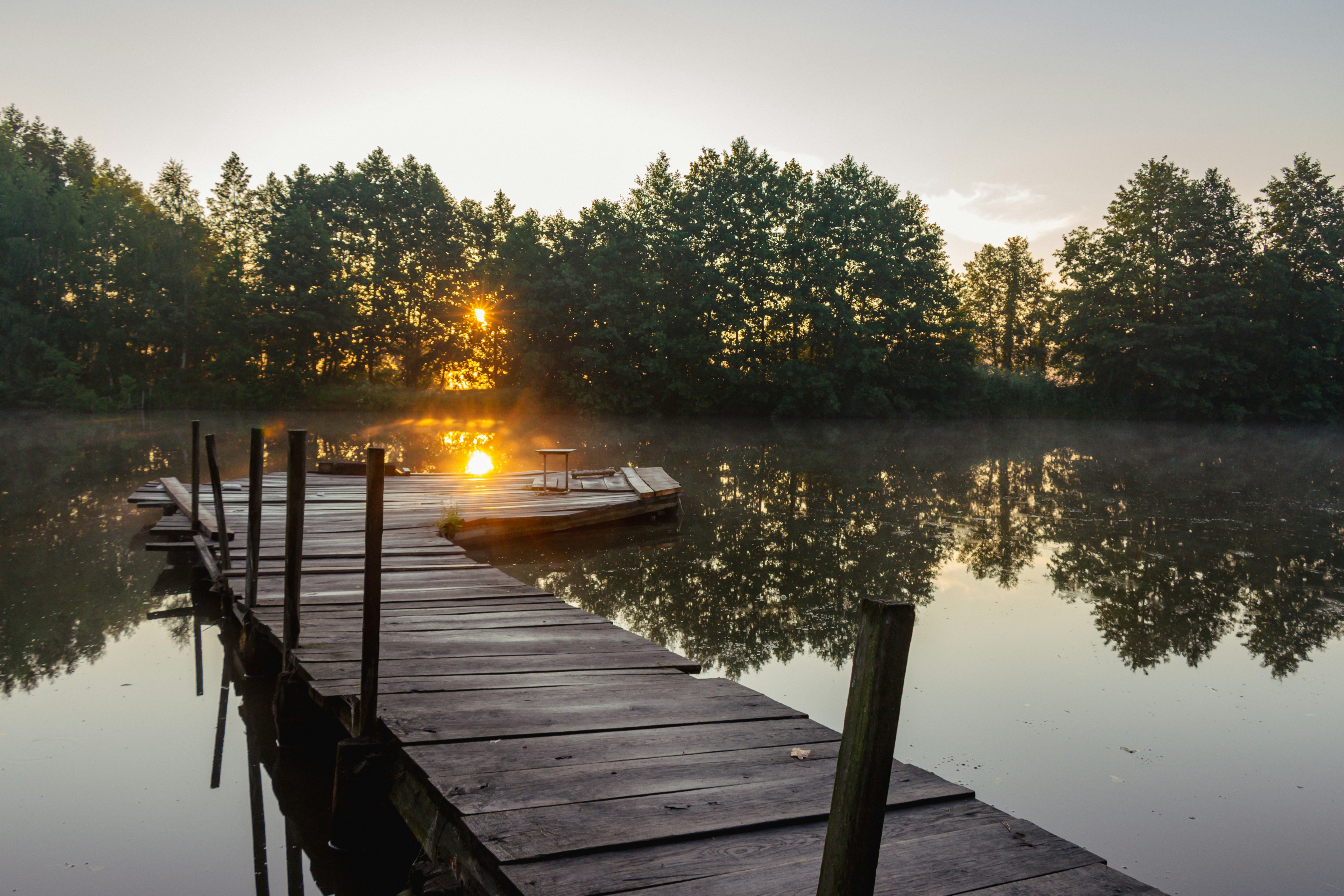 Photo by viktorsmoliak