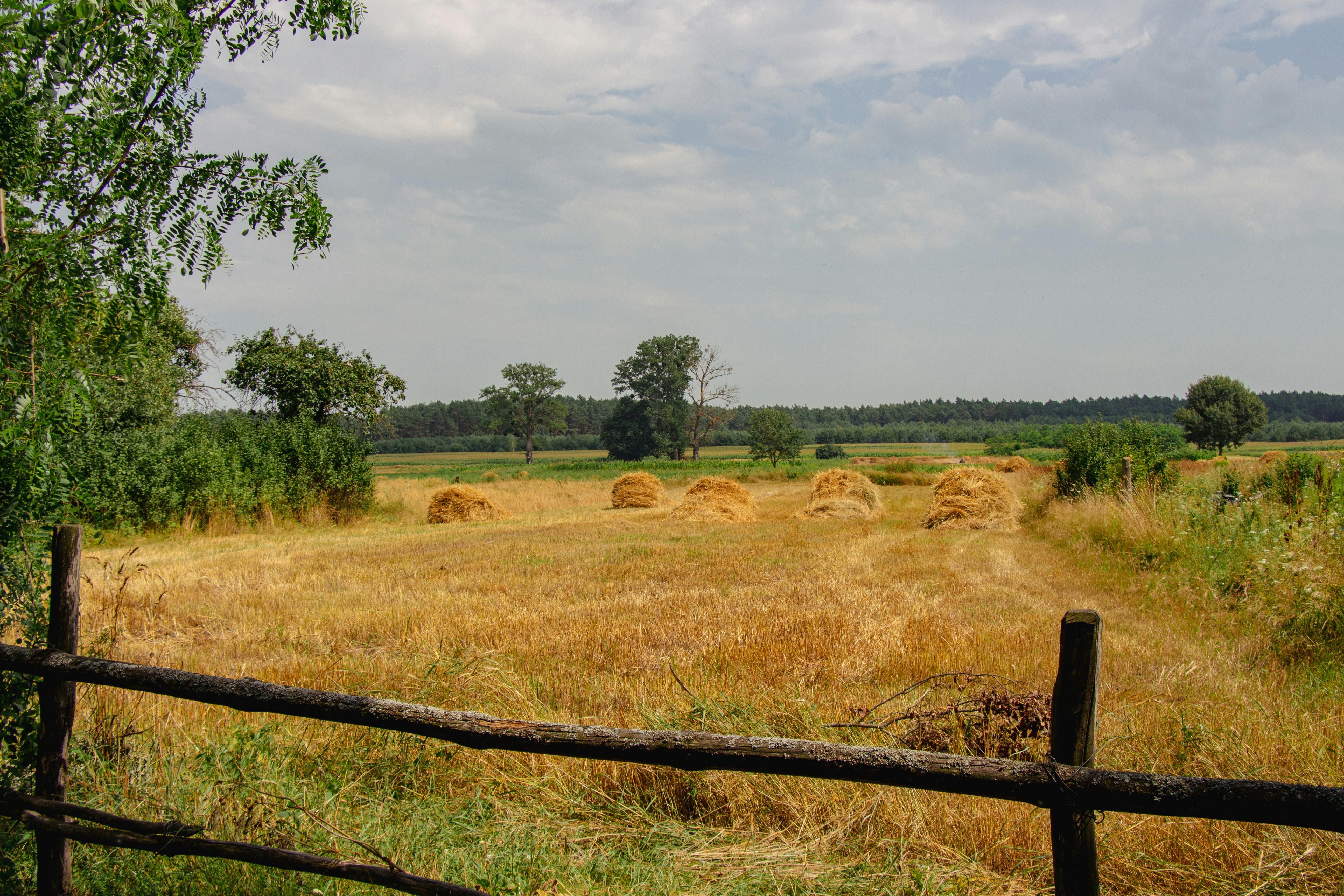 Photo by viktorsmoliak