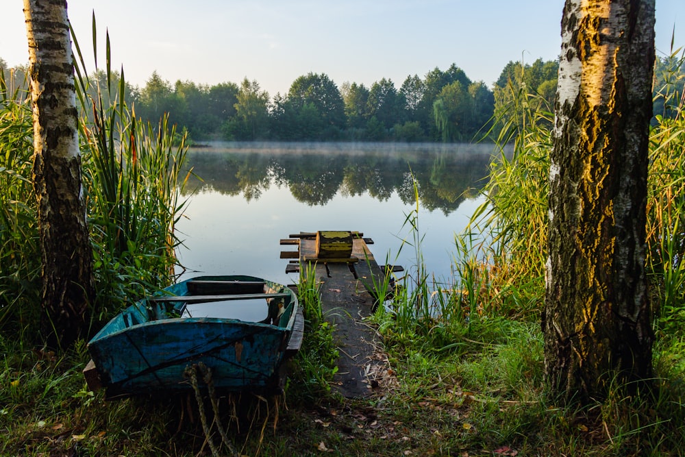 boats on the water