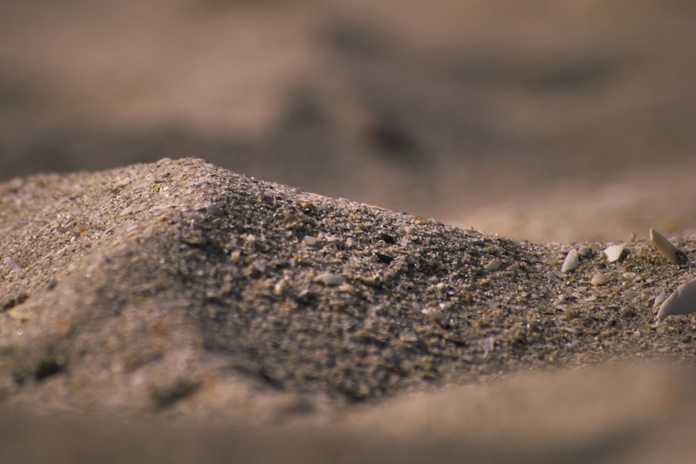 a close up of a rock