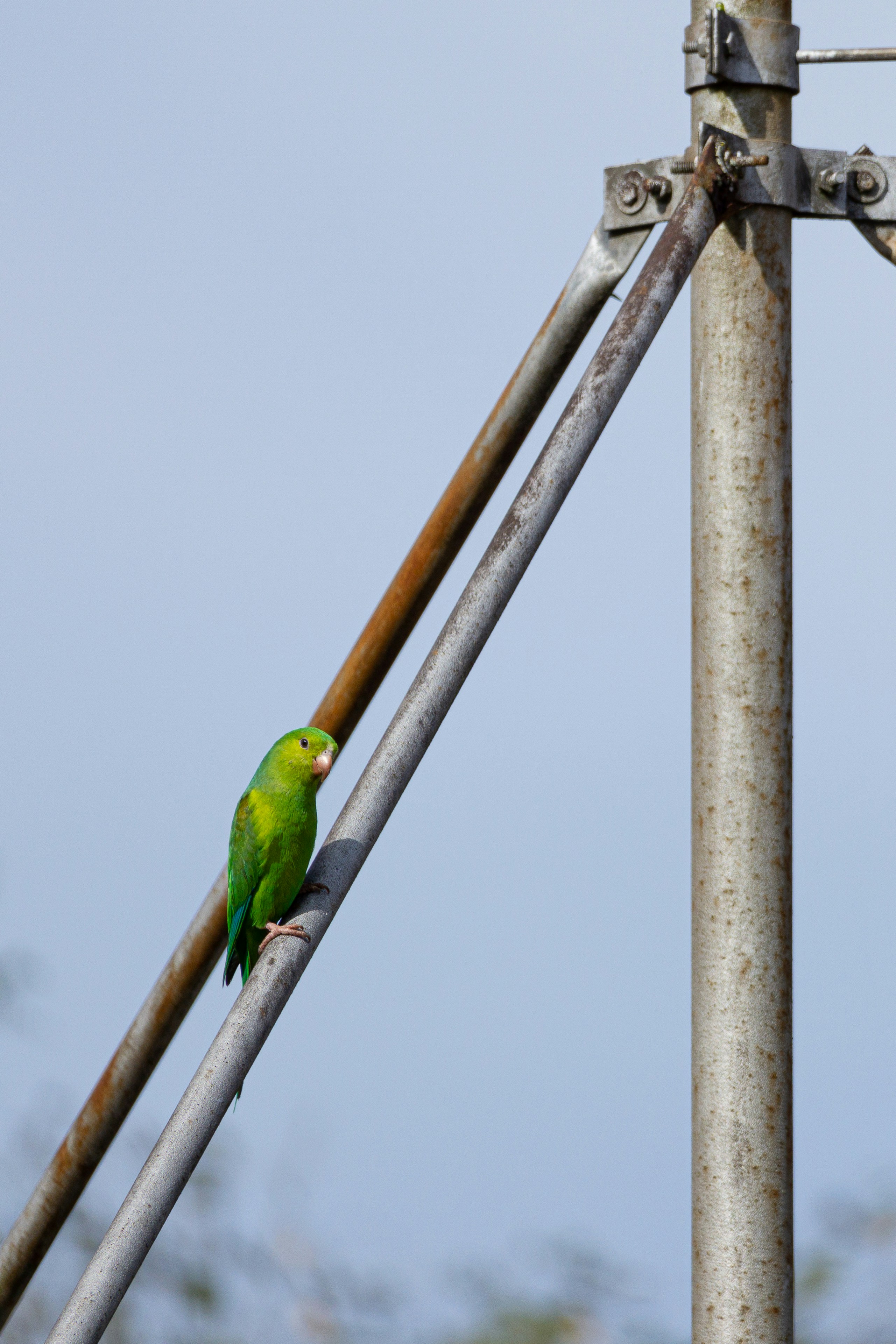 Photo by filipe_cantador