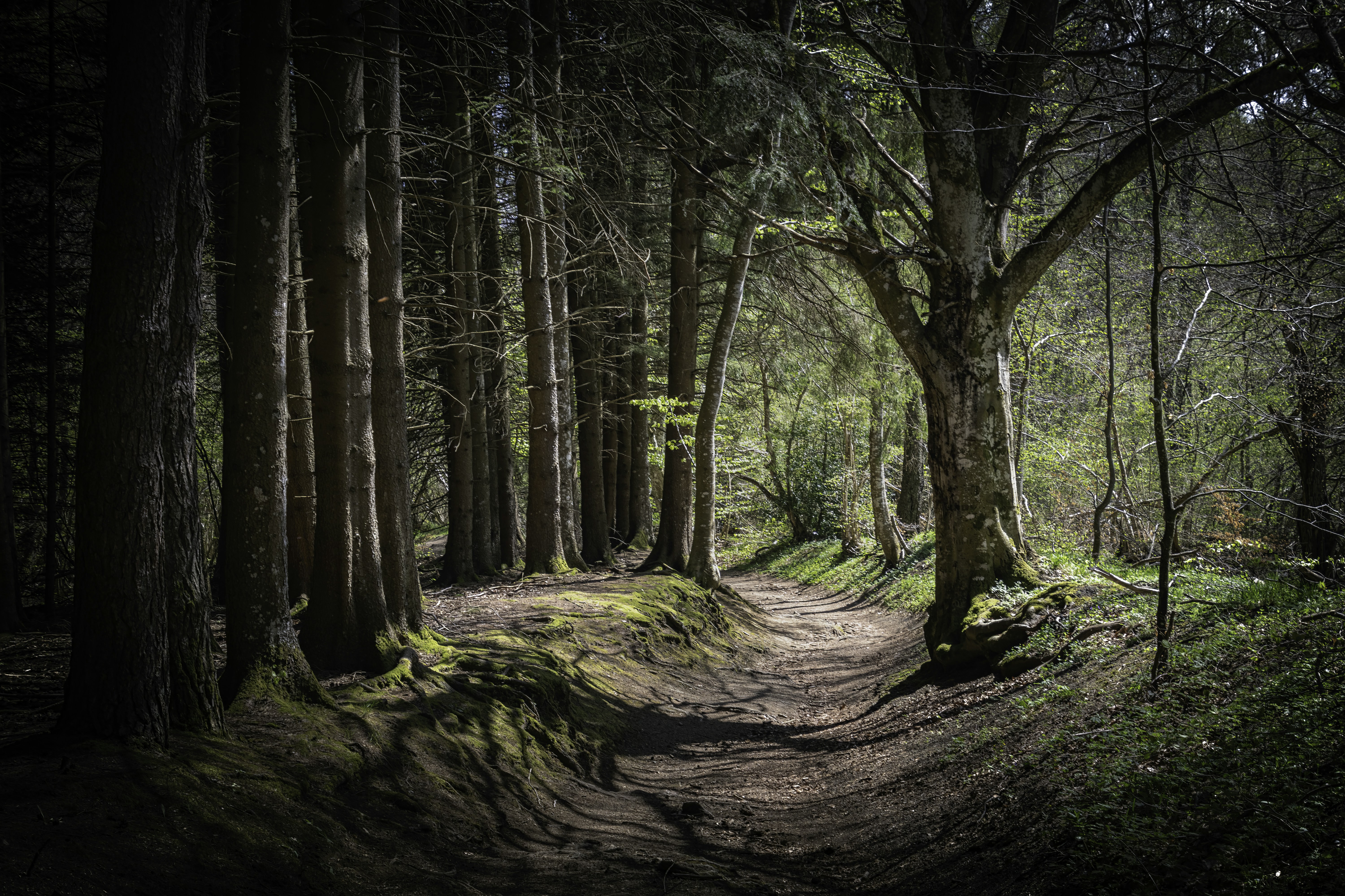 Photo by le_sixieme_reve