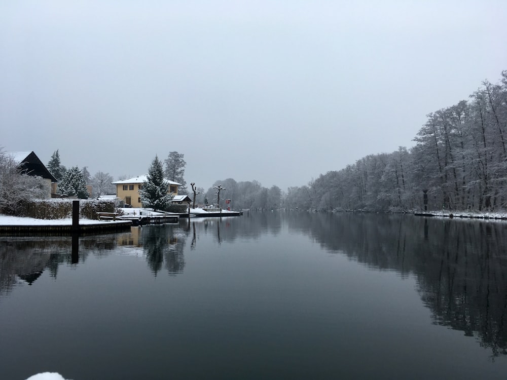 a body of water with trees and buildings around it